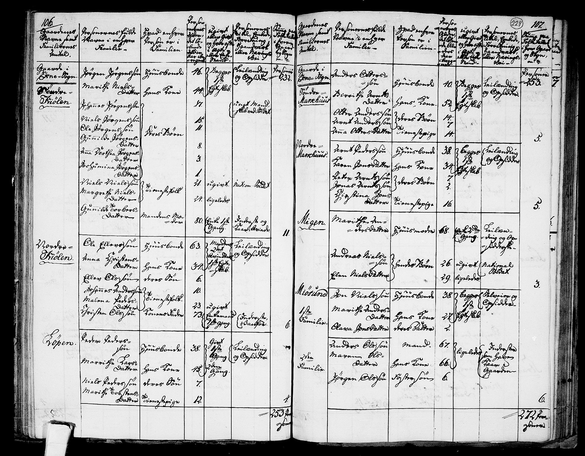 RA, 1801 census for 1719P Skogn, 1801, p. 228b-229a