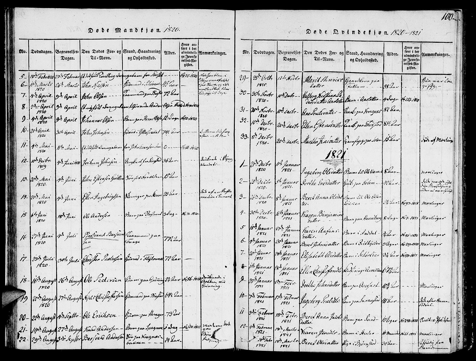 Ministerialprotokoller, klokkerbøker og fødselsregistre - Sør-Trøndelag, AV/SAT-A-1456/646/L0608: Parish register (official) no. 646A06, 1816-1825, p. 100