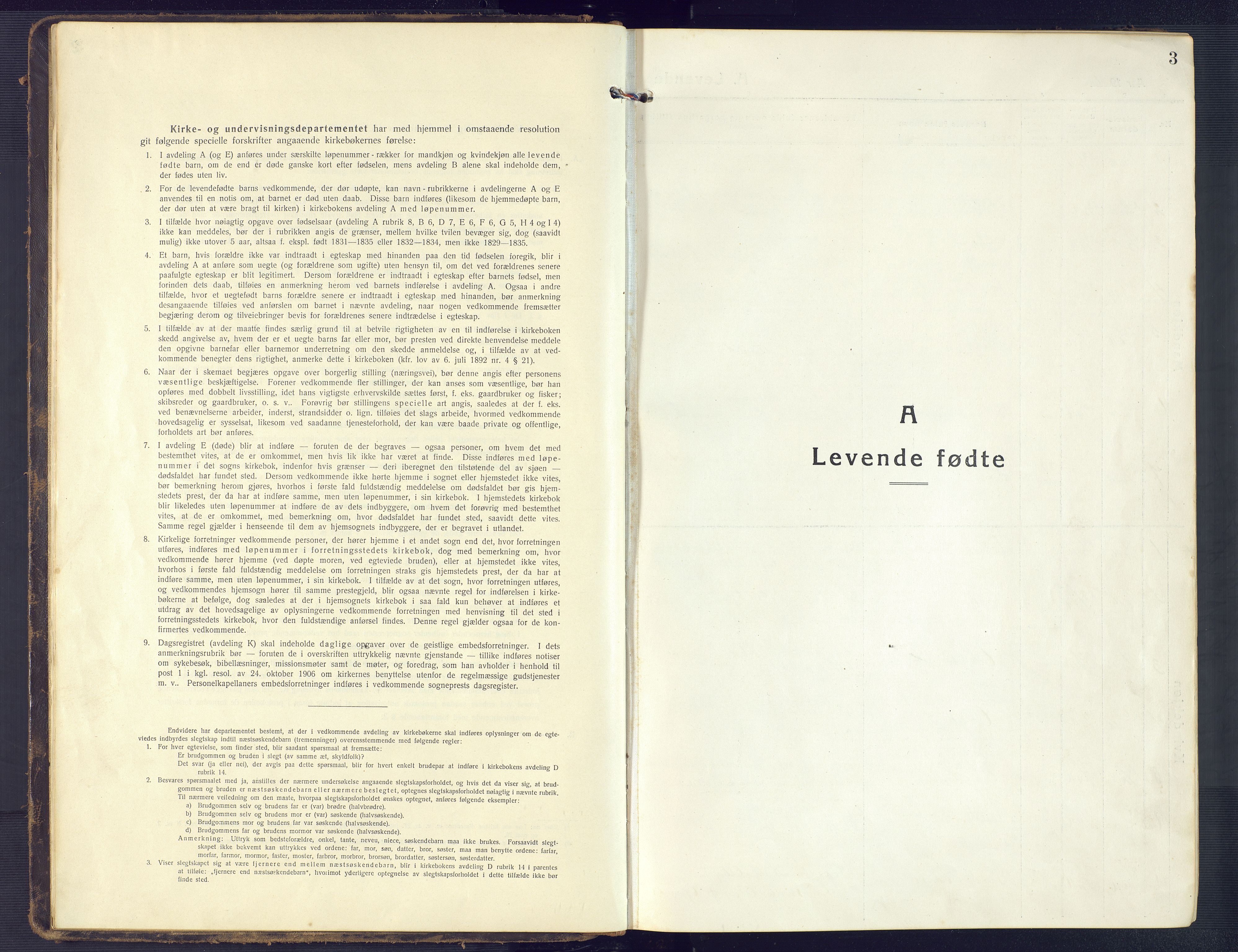 Sirdal sokneprestkontor, SAK/1111-0036/F/Fb/Fbb/L0005: Parish register (copy) no. B 5, 1916-1960, p. 3
