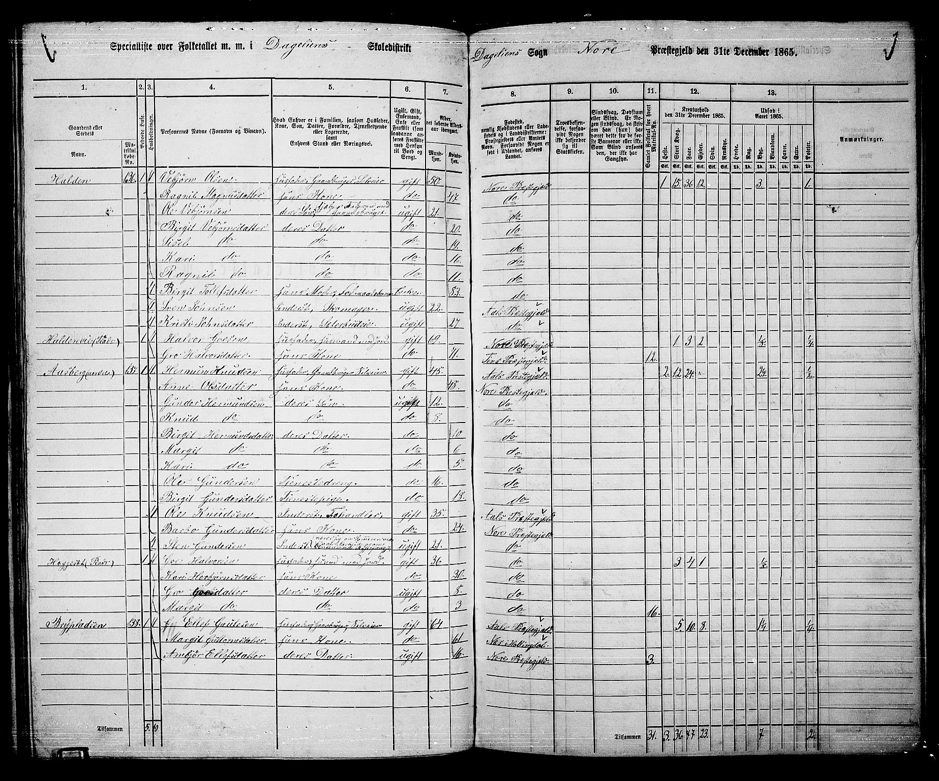 RA, 1865 census for Nore, 1865, p. 138