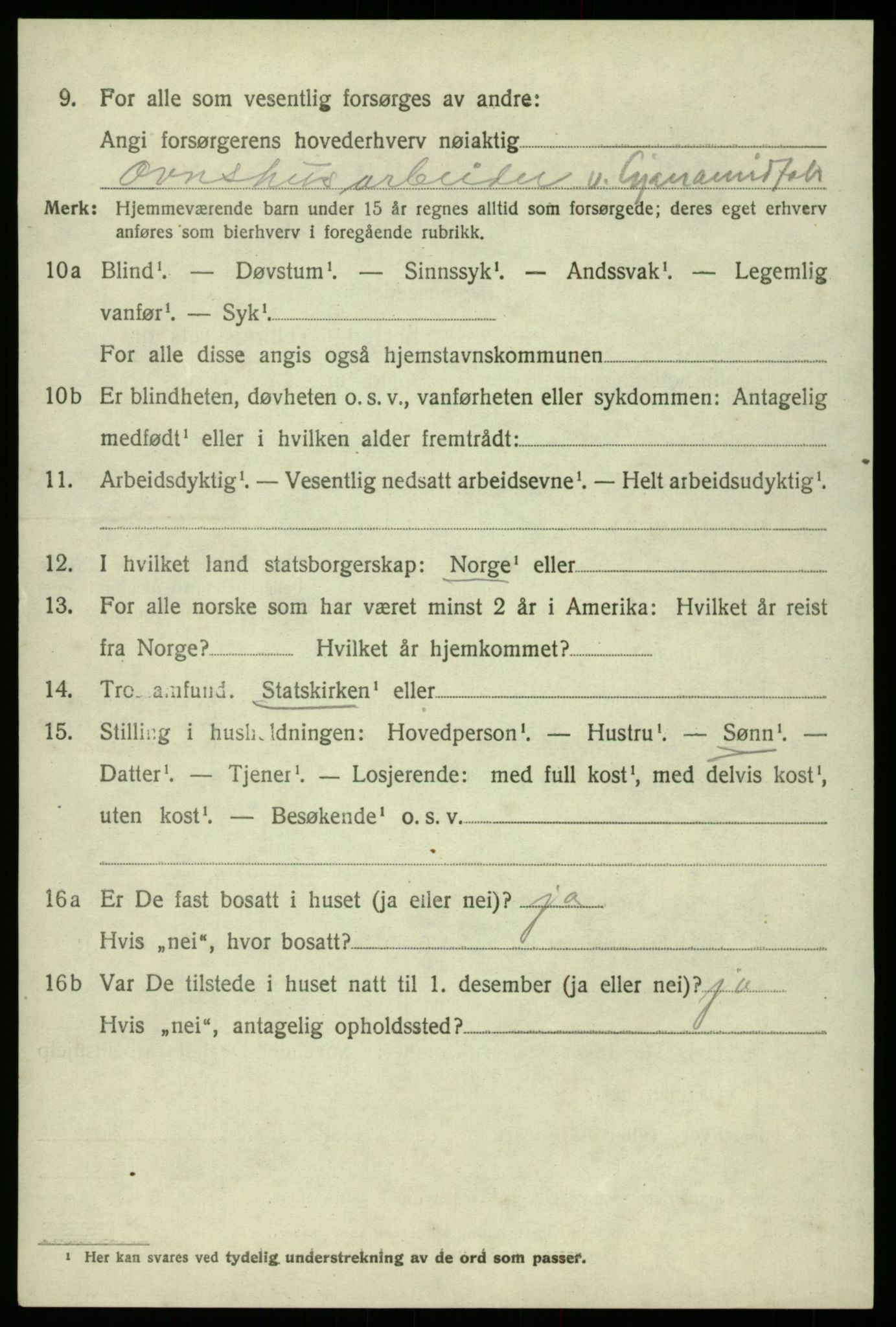 SAB, 1920 census for Odda, 1920, p. 4190