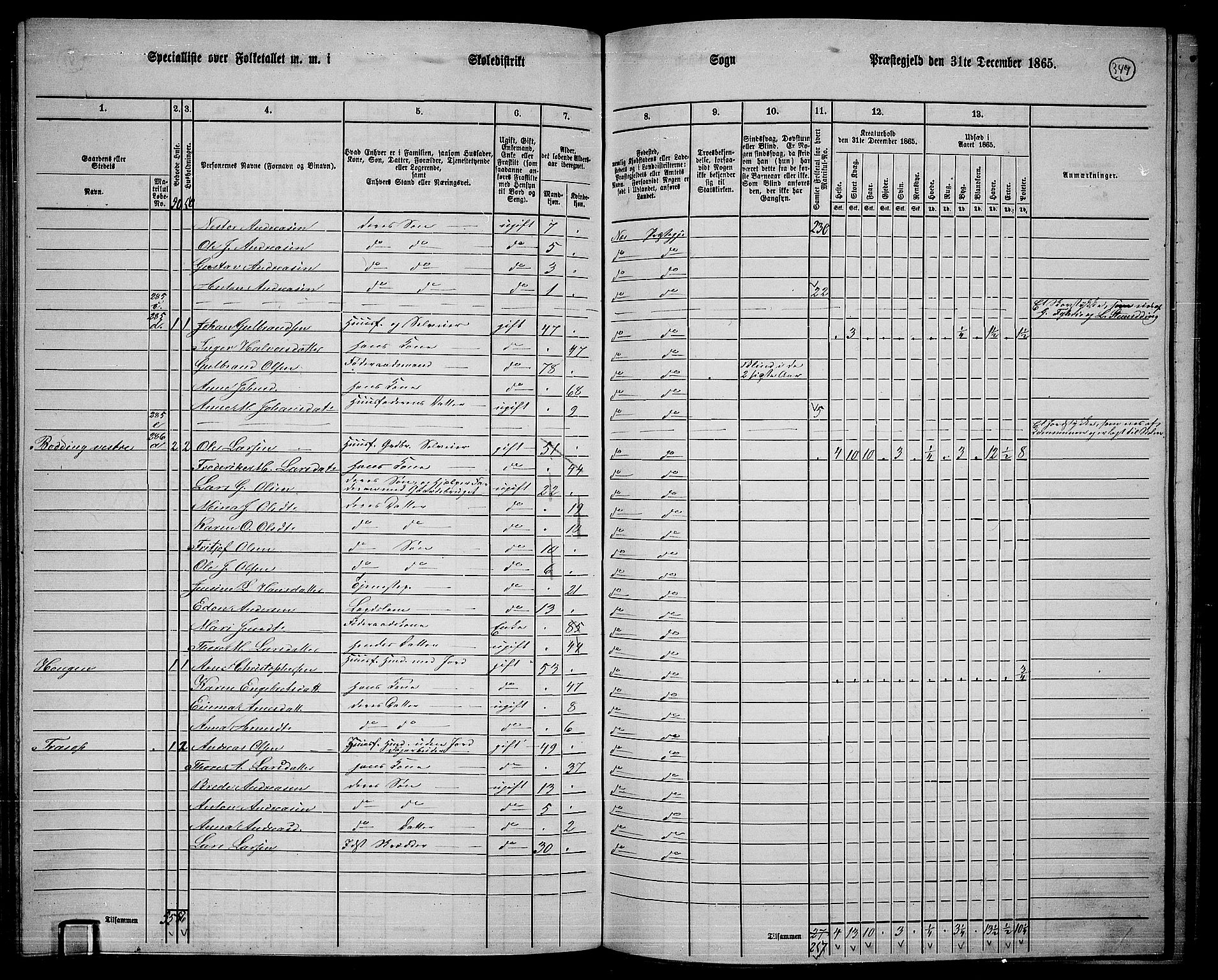 RA, 1865 census for Nes, 1865, p. 317