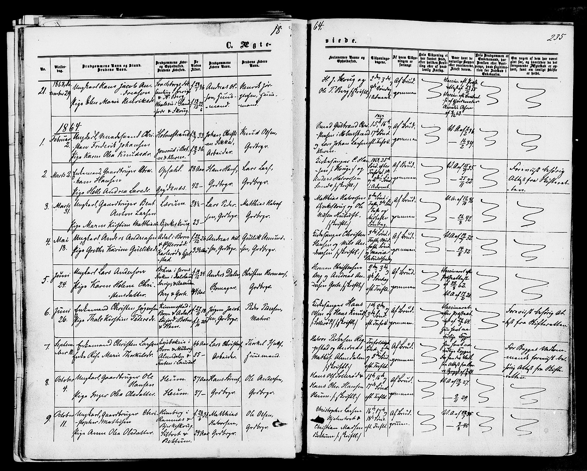 Våle kirkebøker, SAKO/A-334/F/Fa/L0010: Parish register (official) no. I 10, 1861-1877, p. 235
