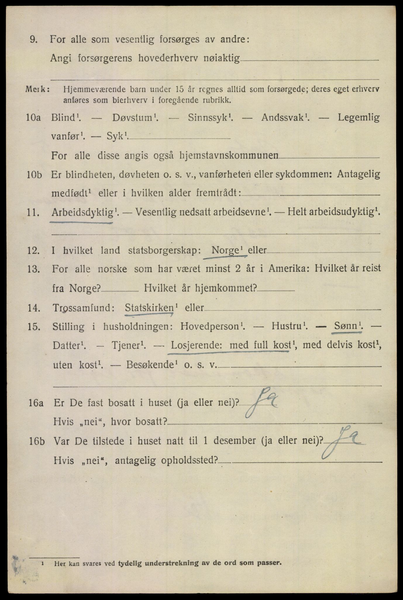 SAKO, 1920 census for Botne, 1920, p. 4238