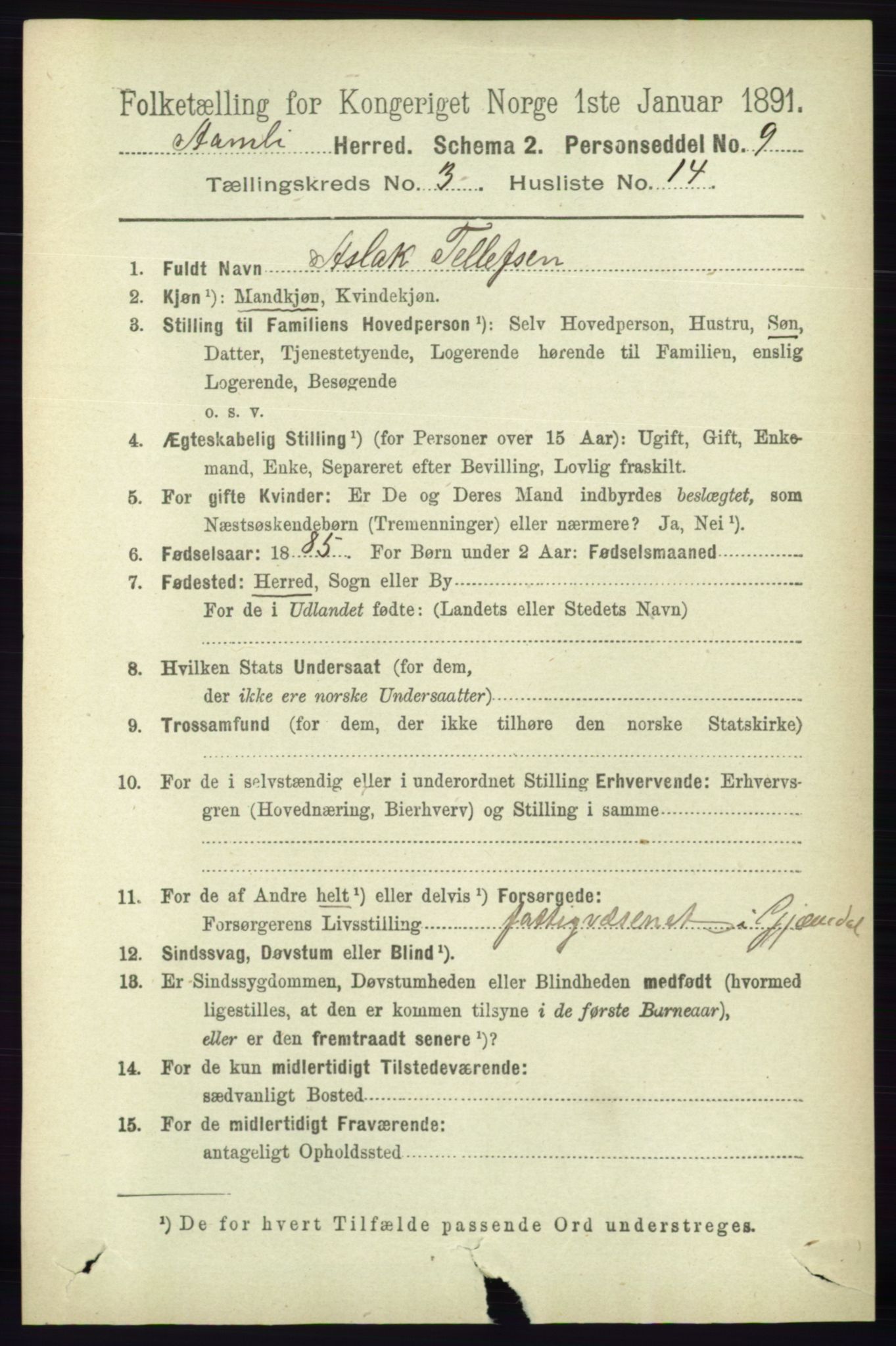 RA, 1891 census for 0929 Åmli, 1891, p. 407