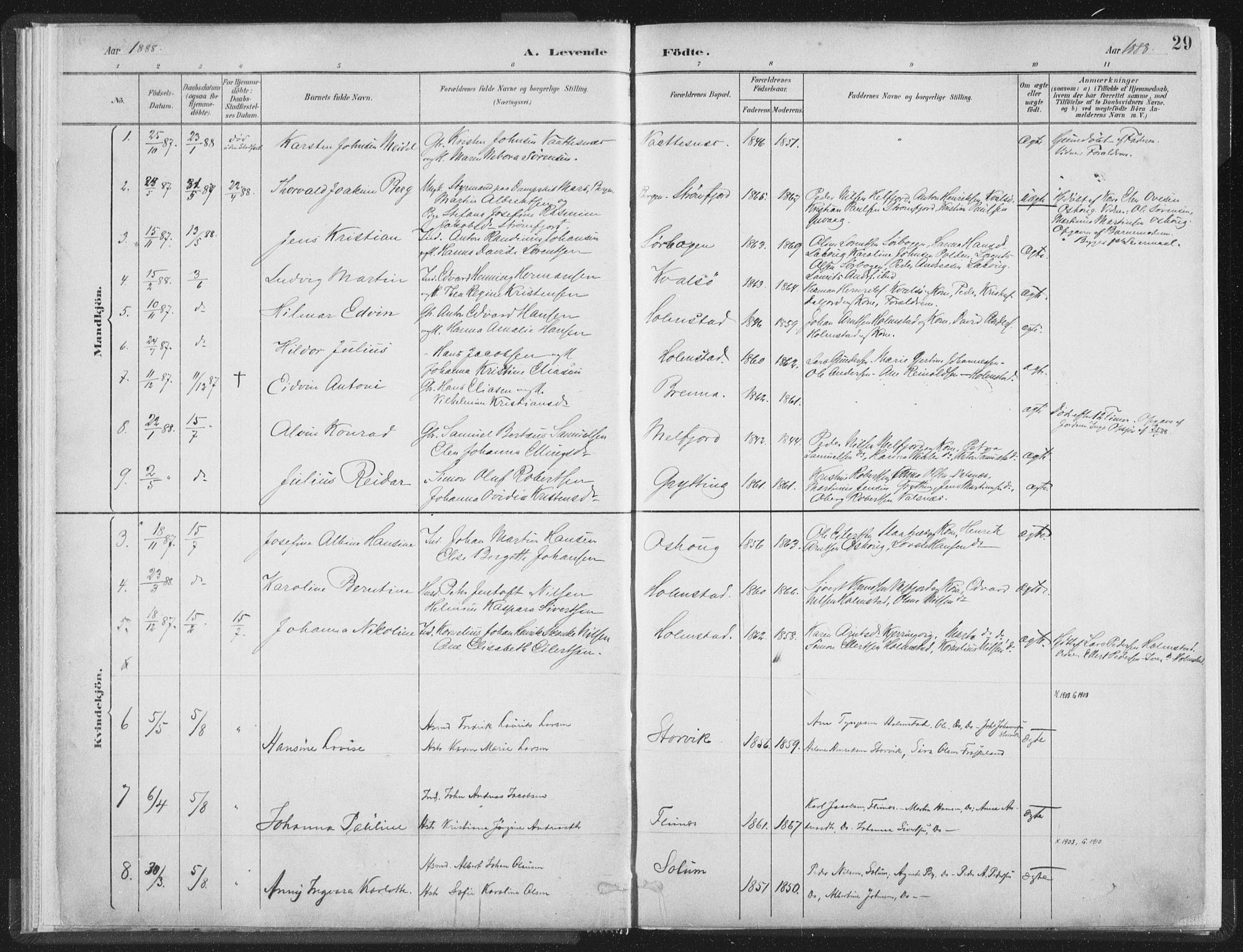 Ministerialprotokoller, klokkerbøker og fødselsregistre - Nordland, AV/SAT-A-1459/890/L1286: Parish register (official) no. 890A01, 1882-1902, p. 29