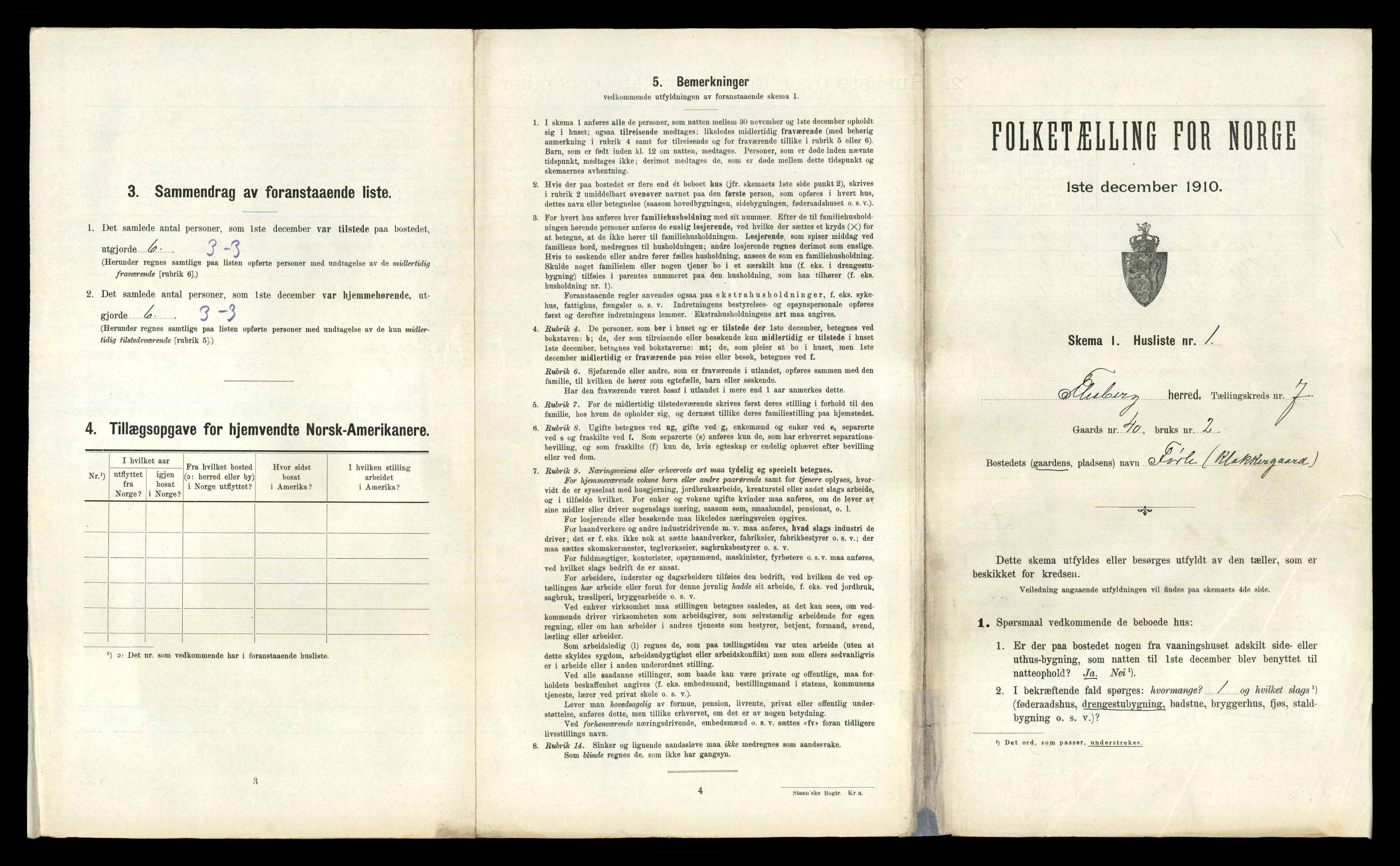 RA, 1910 census for Flesberg, 1910, p. 427