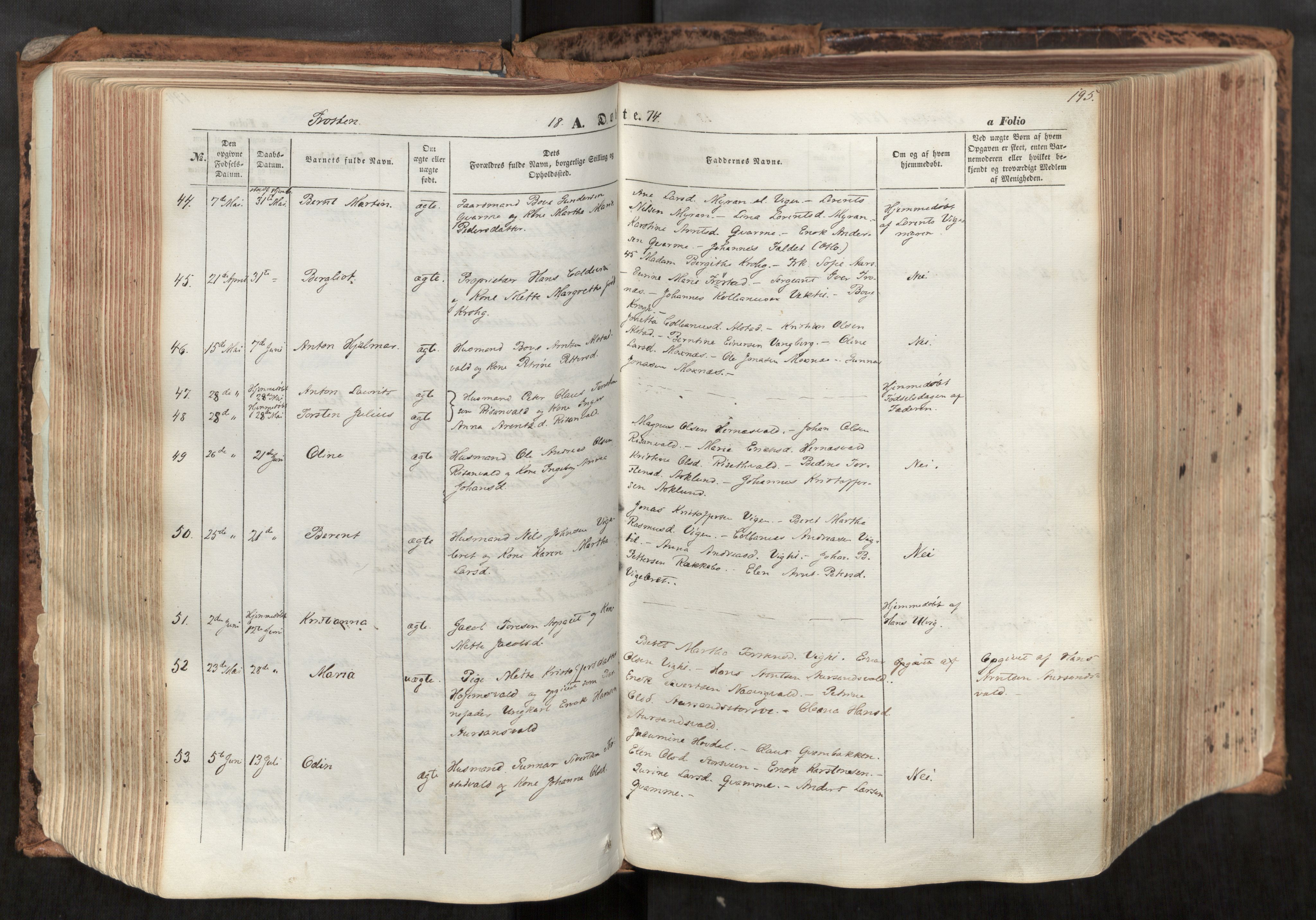 Ministerialprotokoller, klokkerbøker og fødselsregistre - Nord-Trøndelag, SAT/A-1458/713/L0116: Parish register (official) no. 713A07, 1850-1877, p. 195