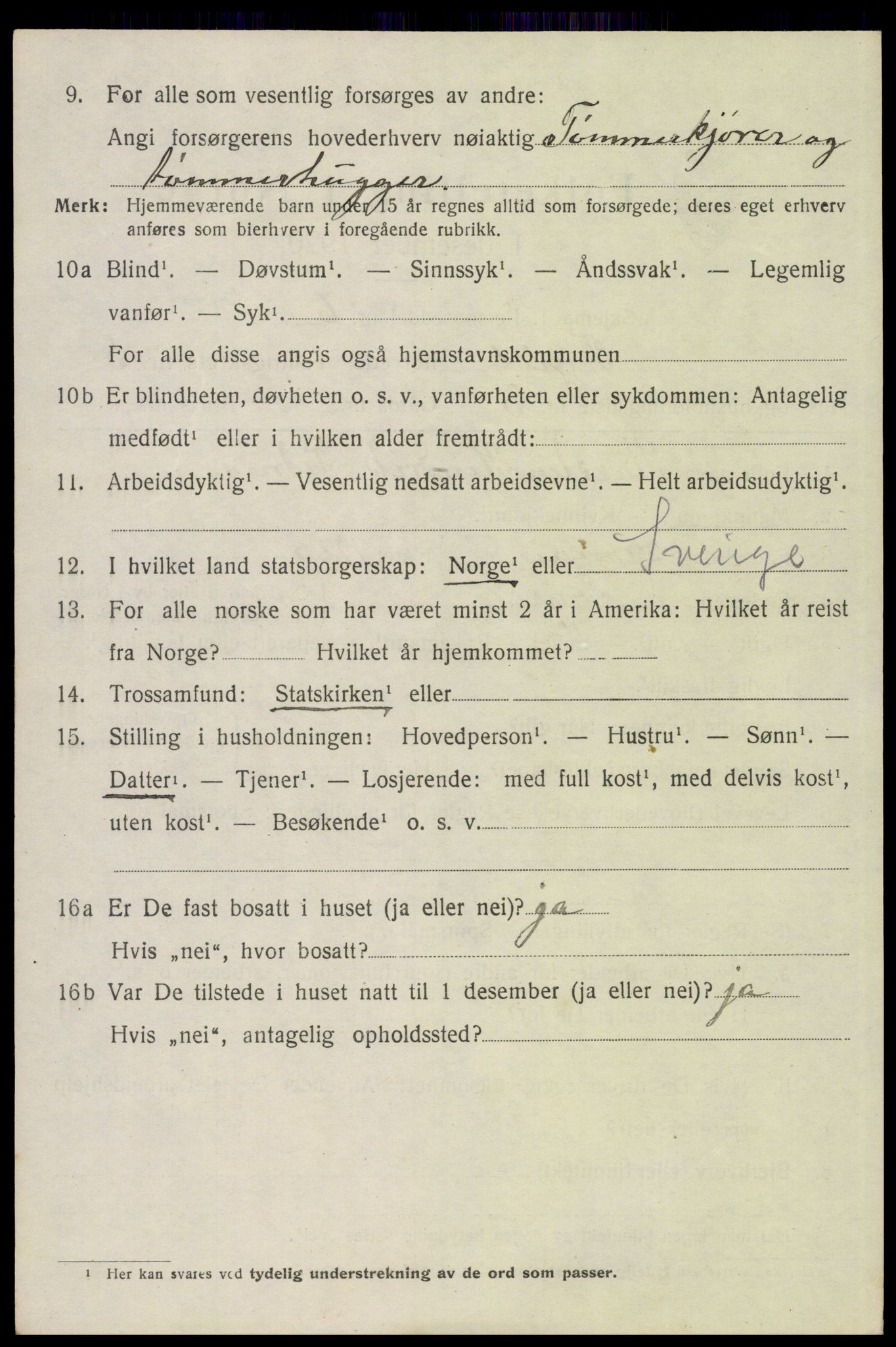 SAH, 1920 census for Trysil, 1920, p. 4350