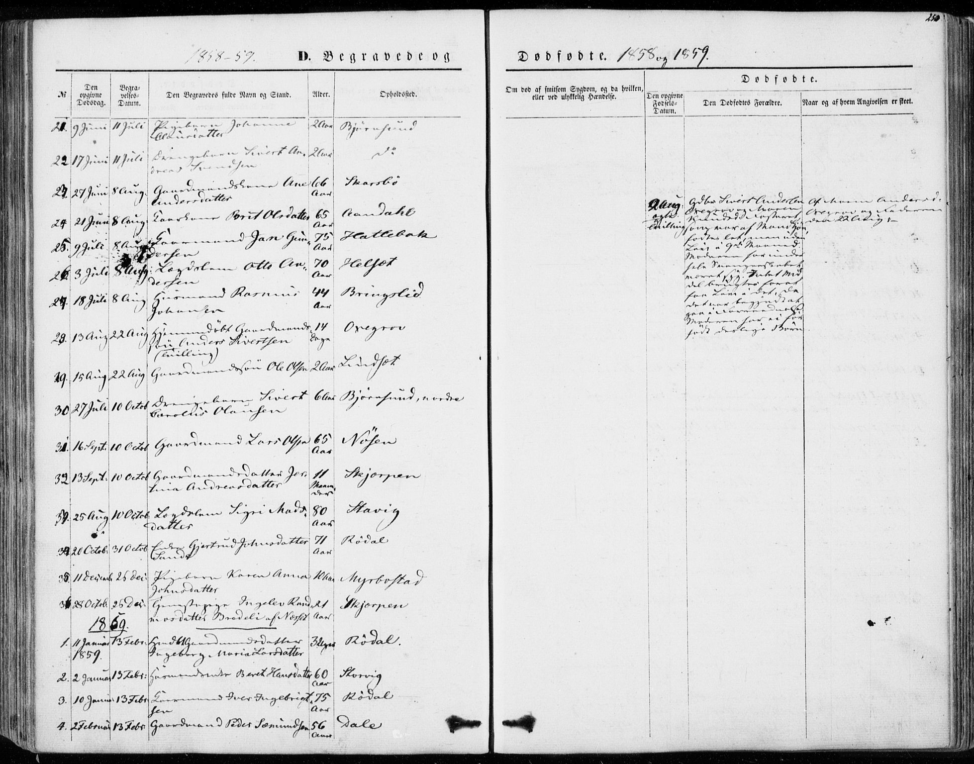 Ministerialprotokoller, klokkerbøker og fødselsregistre - Møre og Romsdal, AV/SAT-A-1454/565/L0748: Parish register (official) no. 565A02, 1845-1872, p. 250