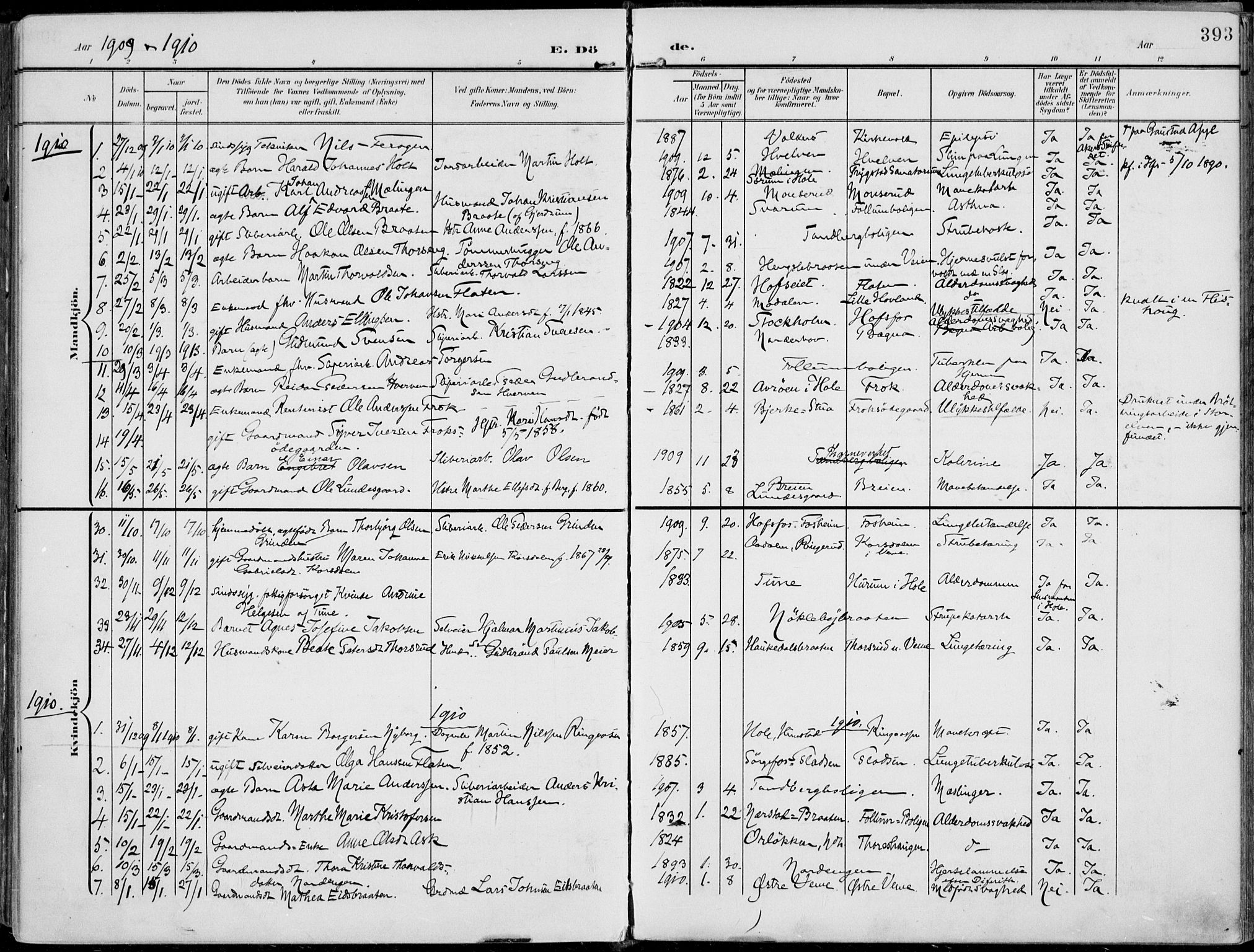 Norderhov kirkebøker, AV/SAKO-A-237/F/Fa/L0017: Parish register (official) no. 17, 1903-1919, p. 393