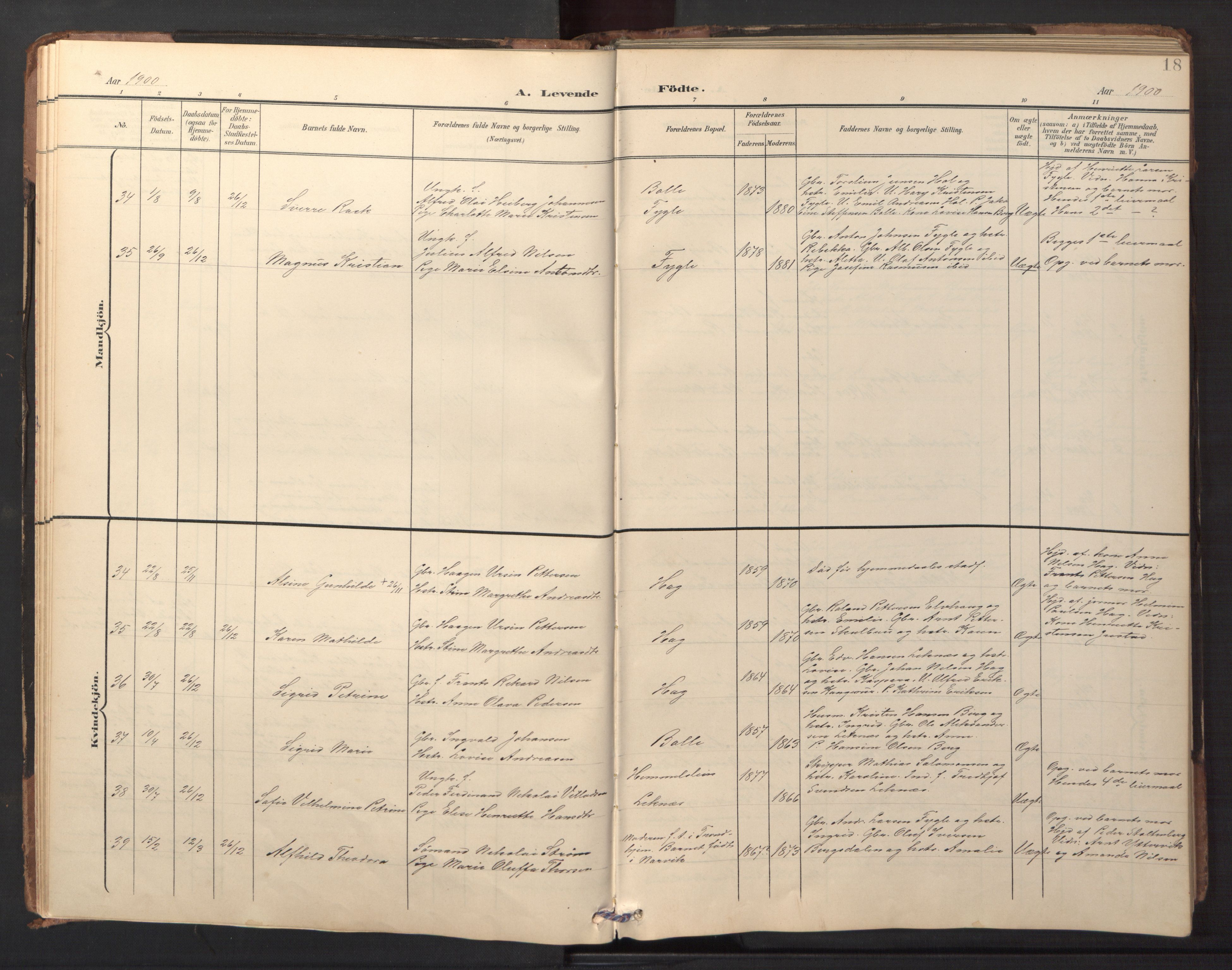 Ministerialprotokoller, klokkerbøker og fødselsregistre - Nordland, AV/SAT-A-1459/882/L1185: Parish register (copy) no. 882C03, 1898-1910, p. 18