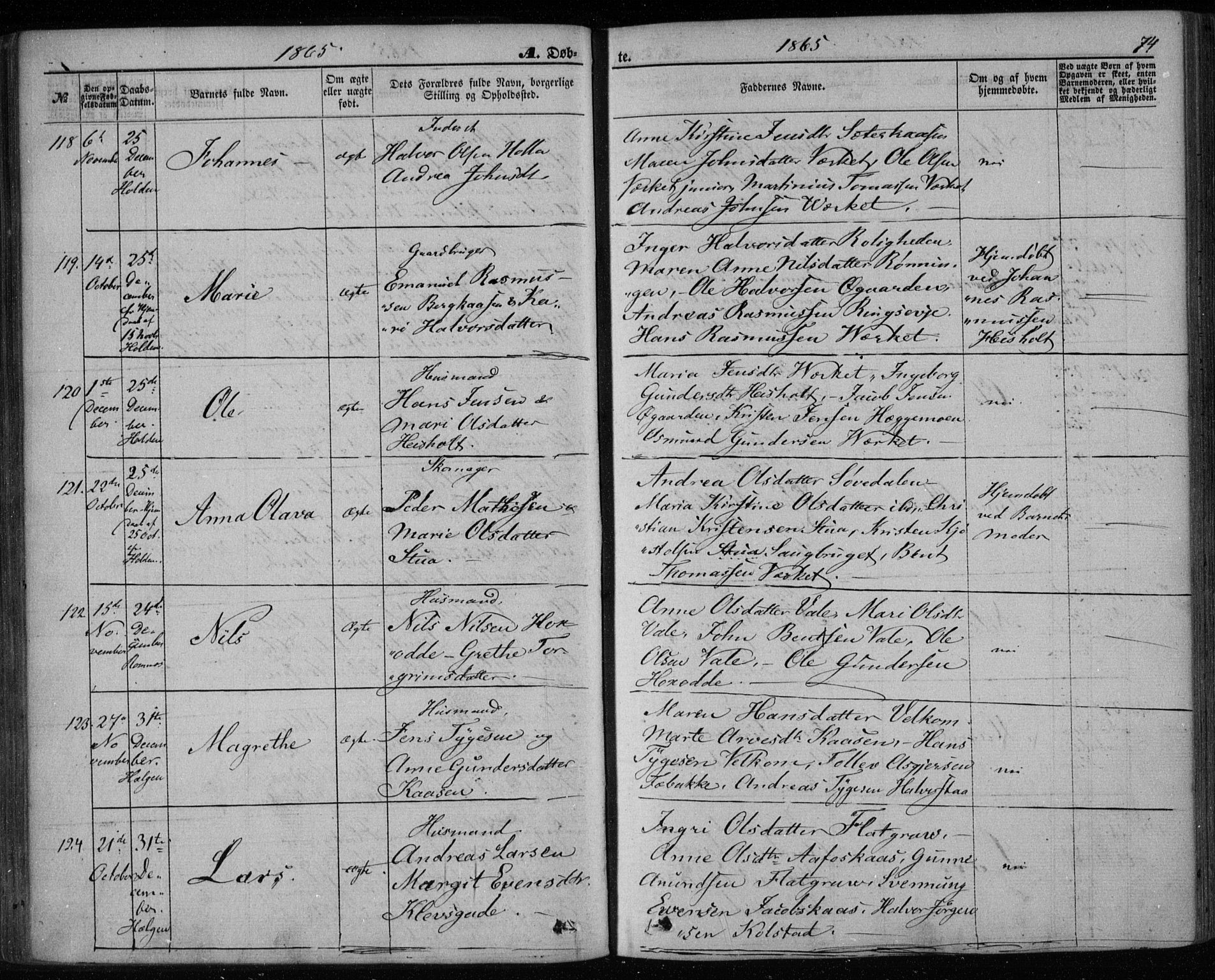 Holla kirkebøker, AV/SAKO-A-272/F/Fa/L0006: Parish register (official) no. 6, 1861-1869, p. 74