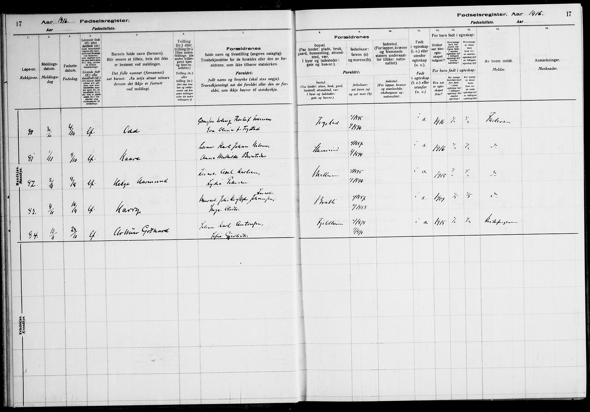 Nes prestekontor Kirkebøker, AV/SAO-A-10410/J/Ja/L0001: Birth register no. 1, 1916-1926, p. 17