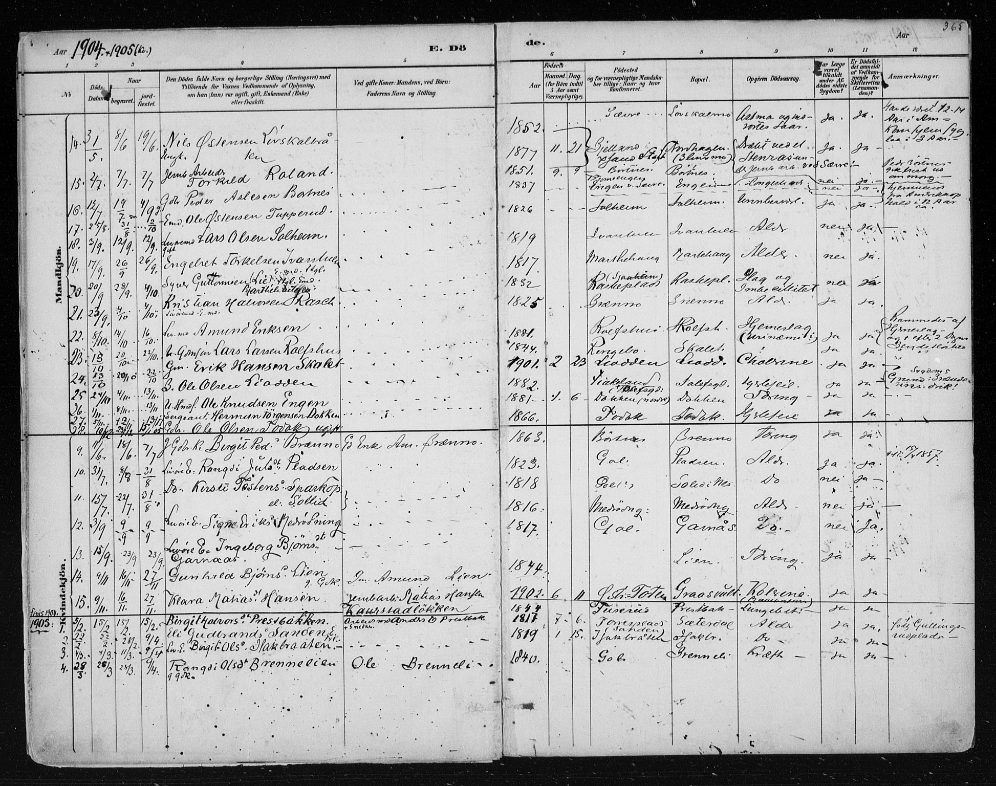 Nes kirkebøker, SAKO/A-236/F/Fa/L0011: Parish register (official) no. 11, 1881-1912, p. 365