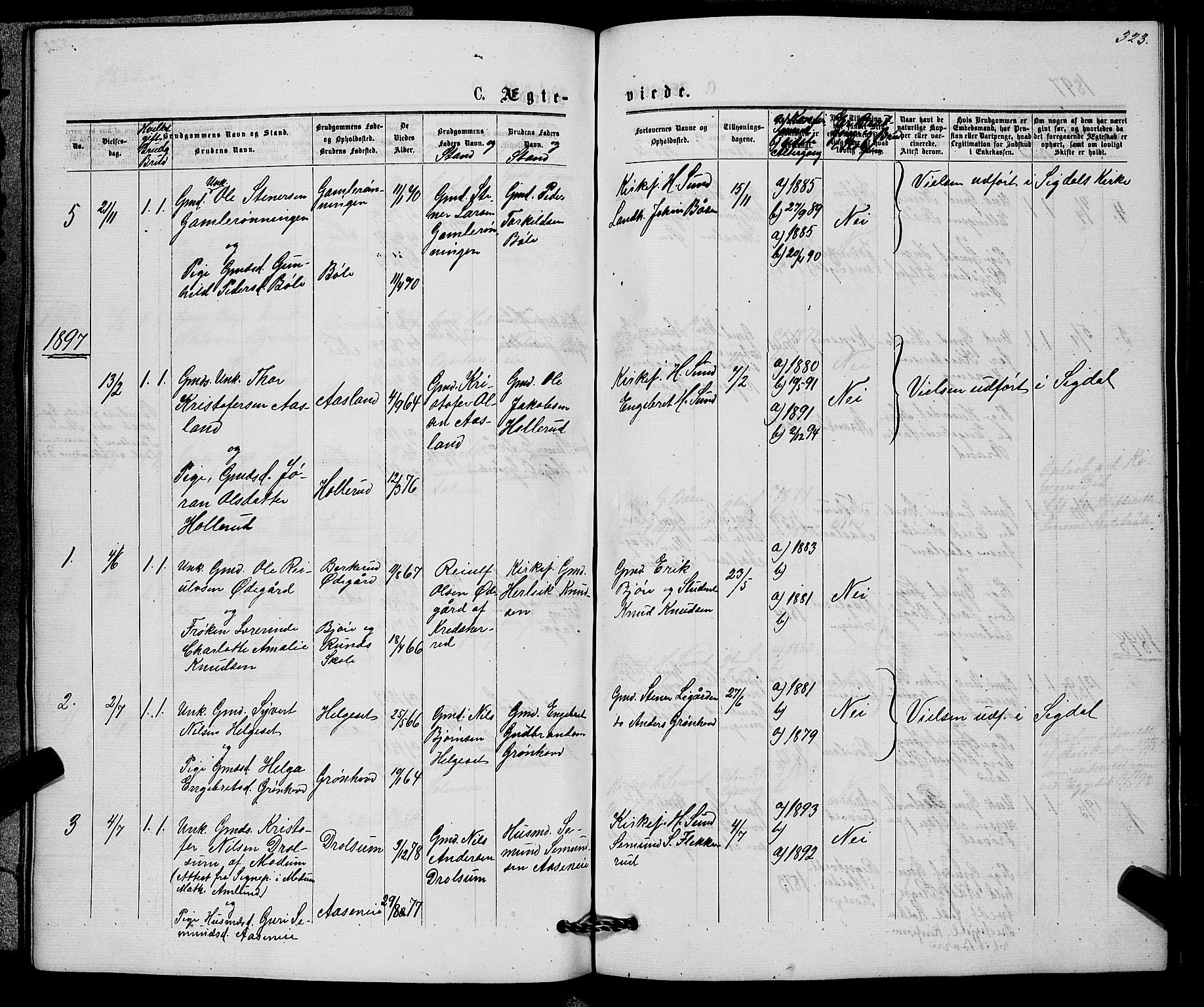 Sigdal kirkebøker, AV/SAKO-A-245/G/Gb/L0002: Parish register (copy) no. II 2, 1875-1900, p. 323