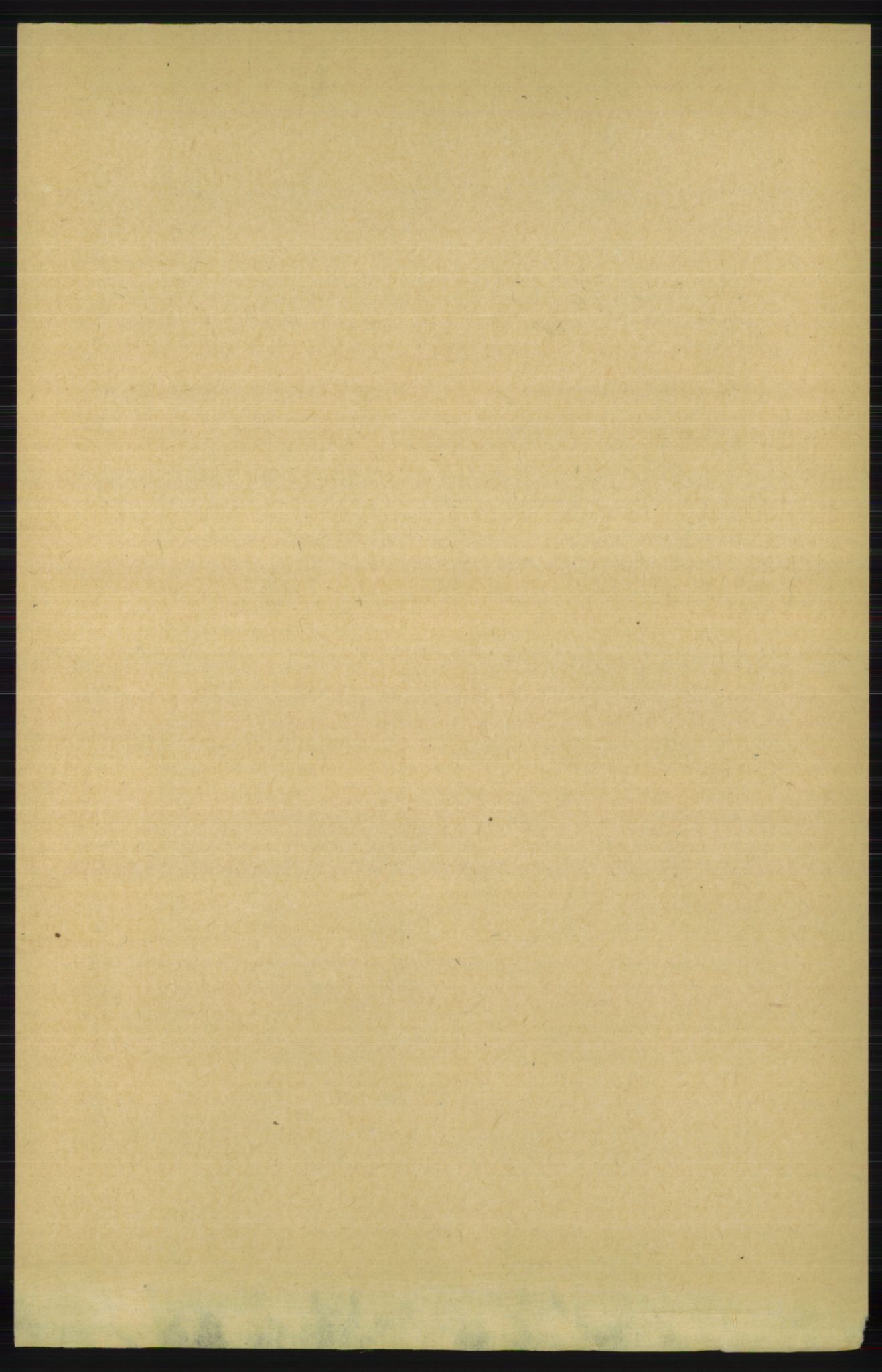 RA, 1891 census for 1150 Skudenes, 1891, p. 677