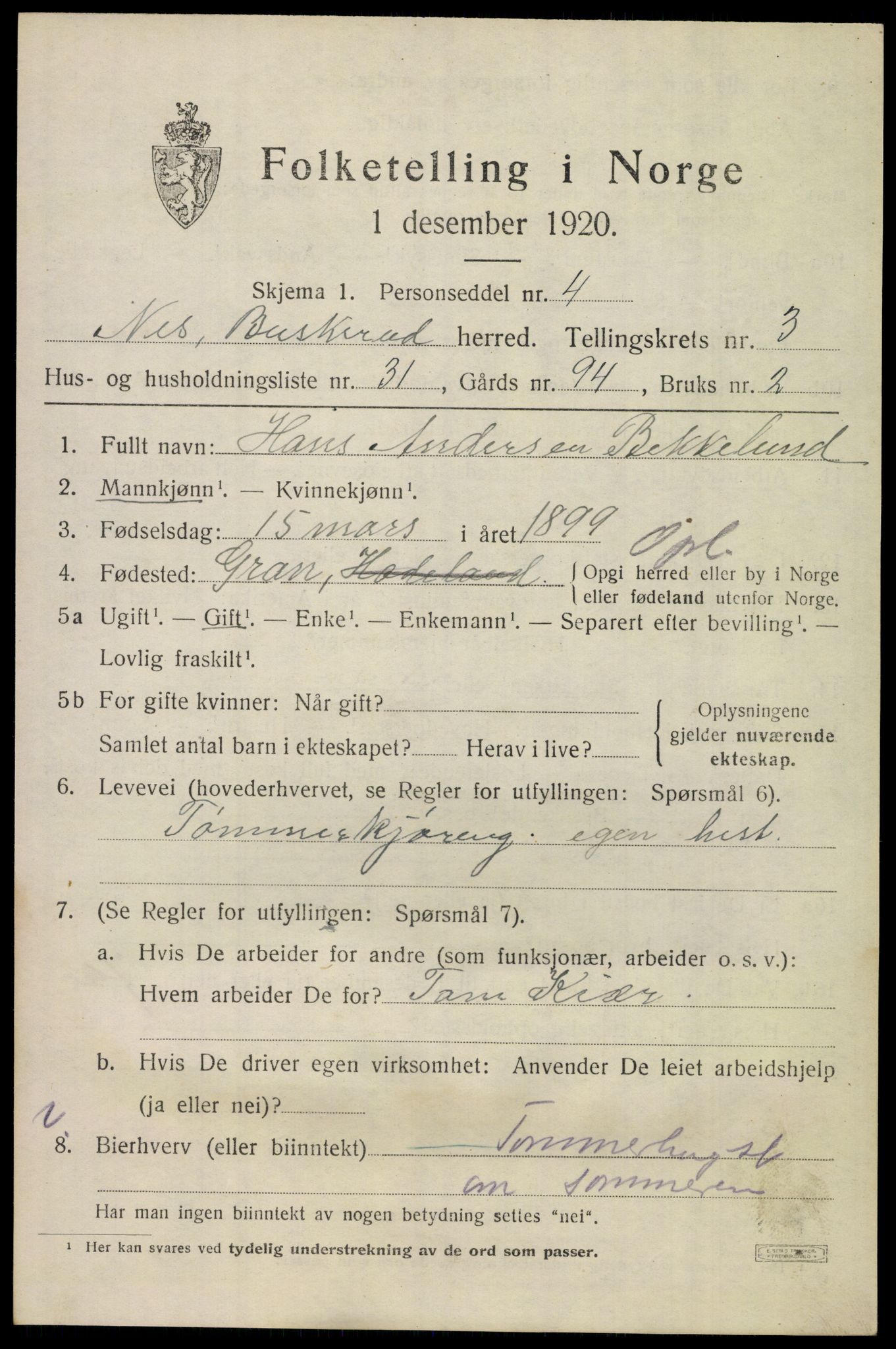 SAKO, 1920 census for Nes (Buskerud), 1920, p. 1924