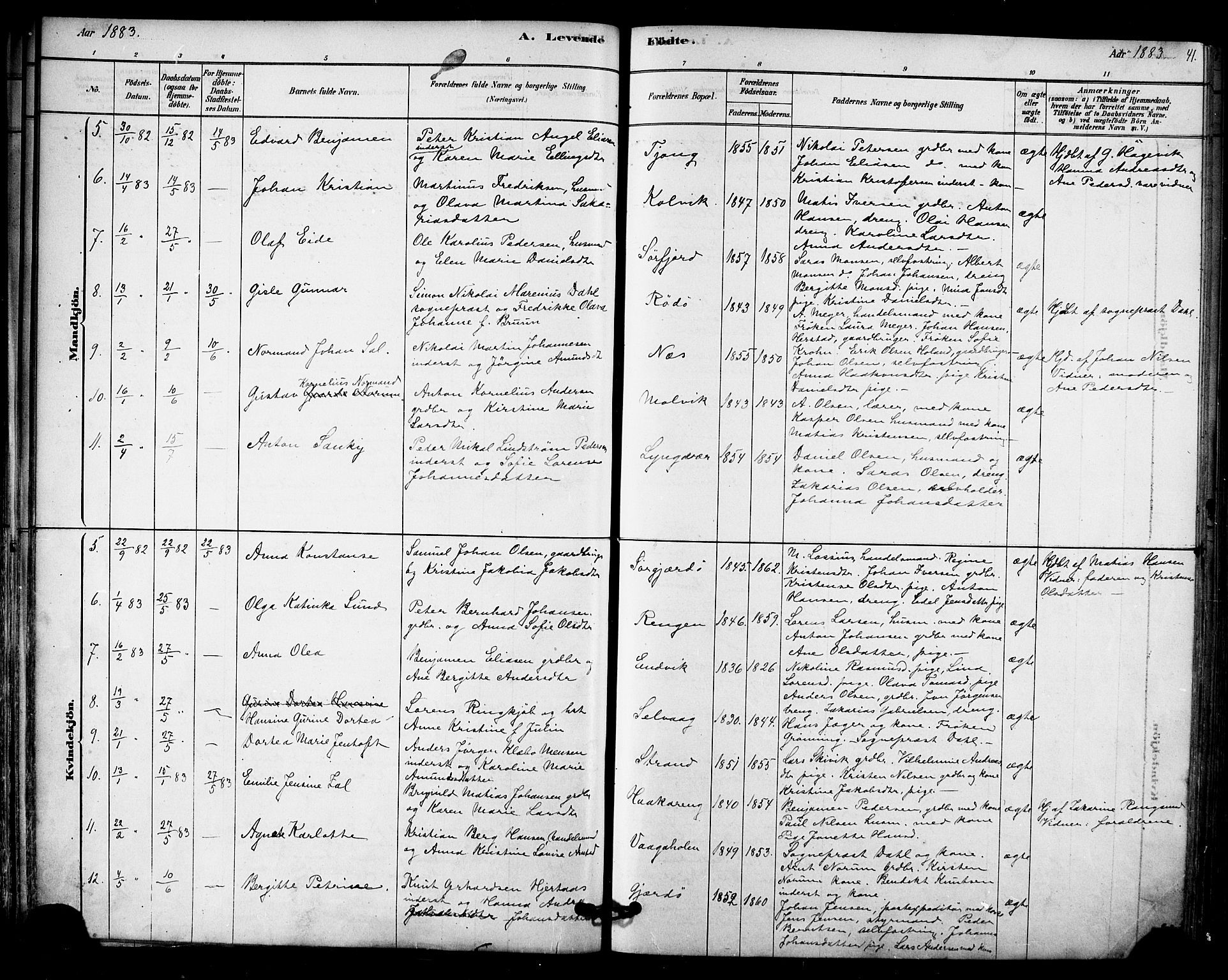 Ministerialprotokoller, klokkerbøker og fødselsregistre - Nordland, AV/SAT-A-1459/841/L0609: Parish register (official) no. 841A12, 1878-1901, p. 41