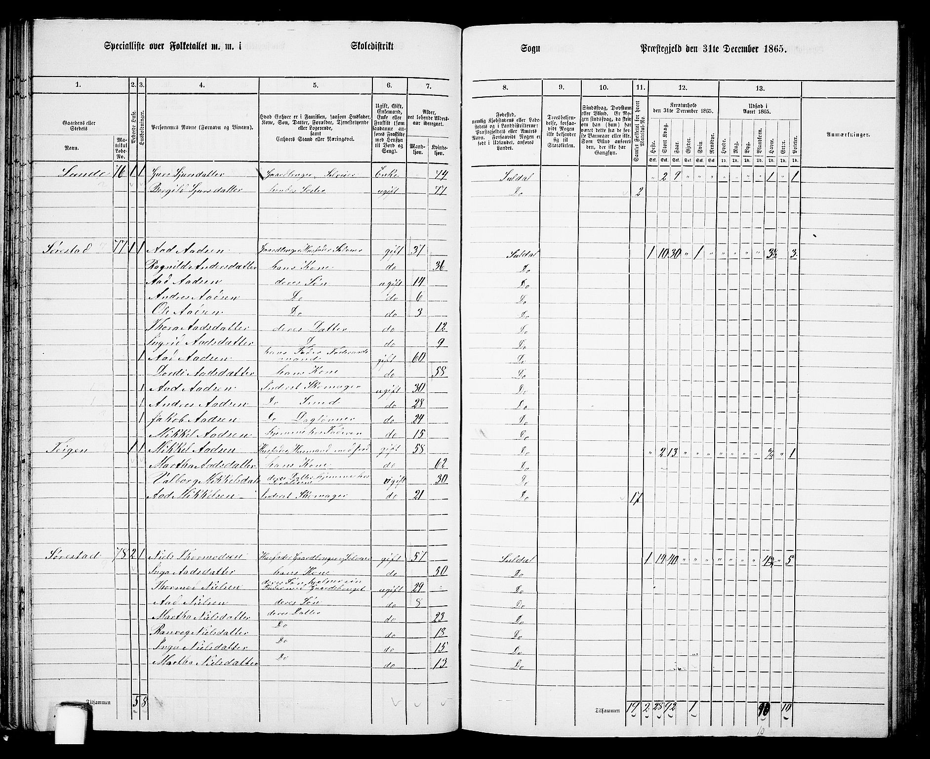 RA, 1865 census for Suldal, 1865, p. 53