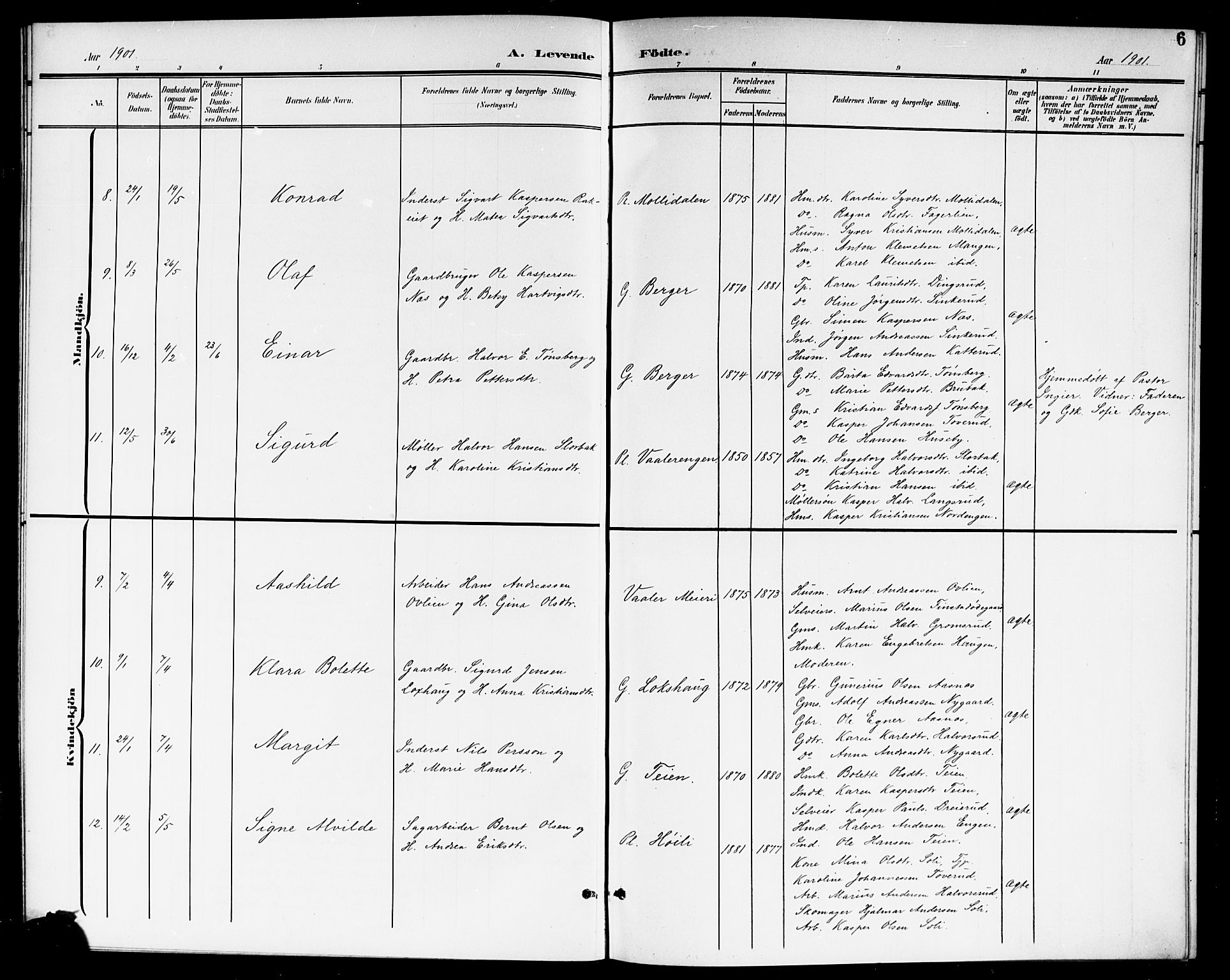 Aurskog prestekontor Kirkebøker, AV/SAO-A-10304a/G/Ga/L0004: Parish register (copy) no. I 4, 1901-1921, p. 6