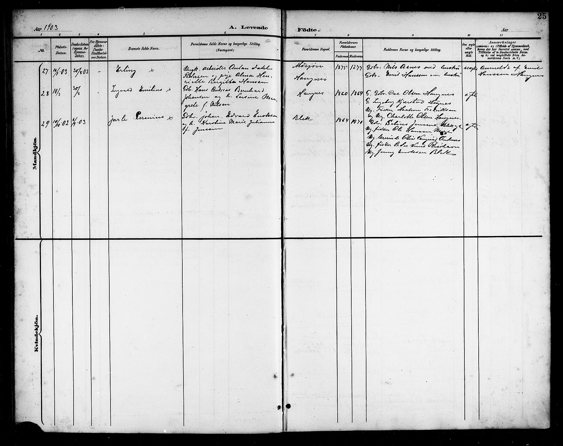 Ministerialprotokoller, klokkerbøker og fødselsregistre - Nordland, AV/SAT-A-1459/899/L1449: Parish register (copy) no. 899C04, 1900-1918, p. 25