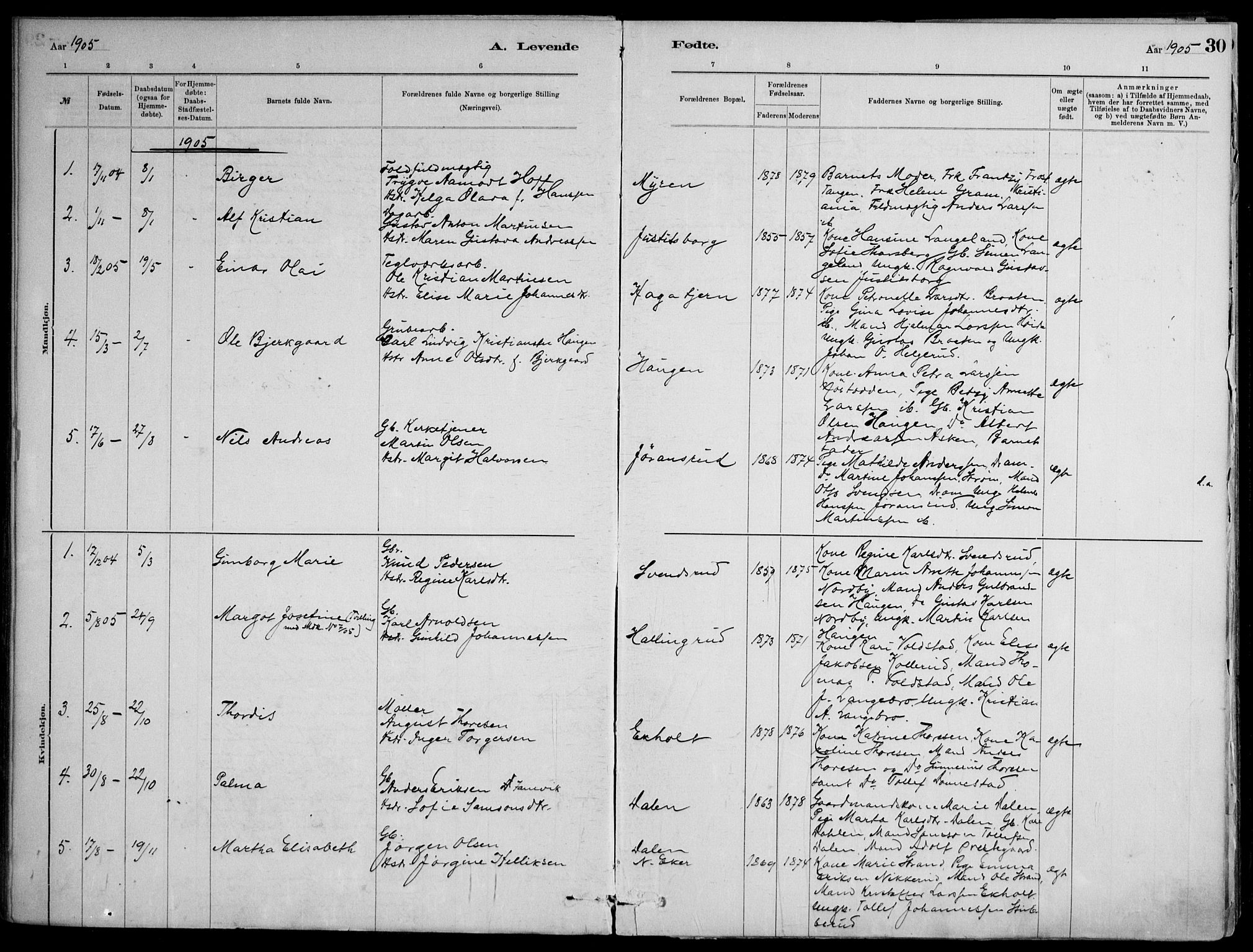 Skoger kirkebøker, AV/SAKO-A-59/F/Fb/L0001: Parish register (official) no. II 1, 1885-1913, p. 30