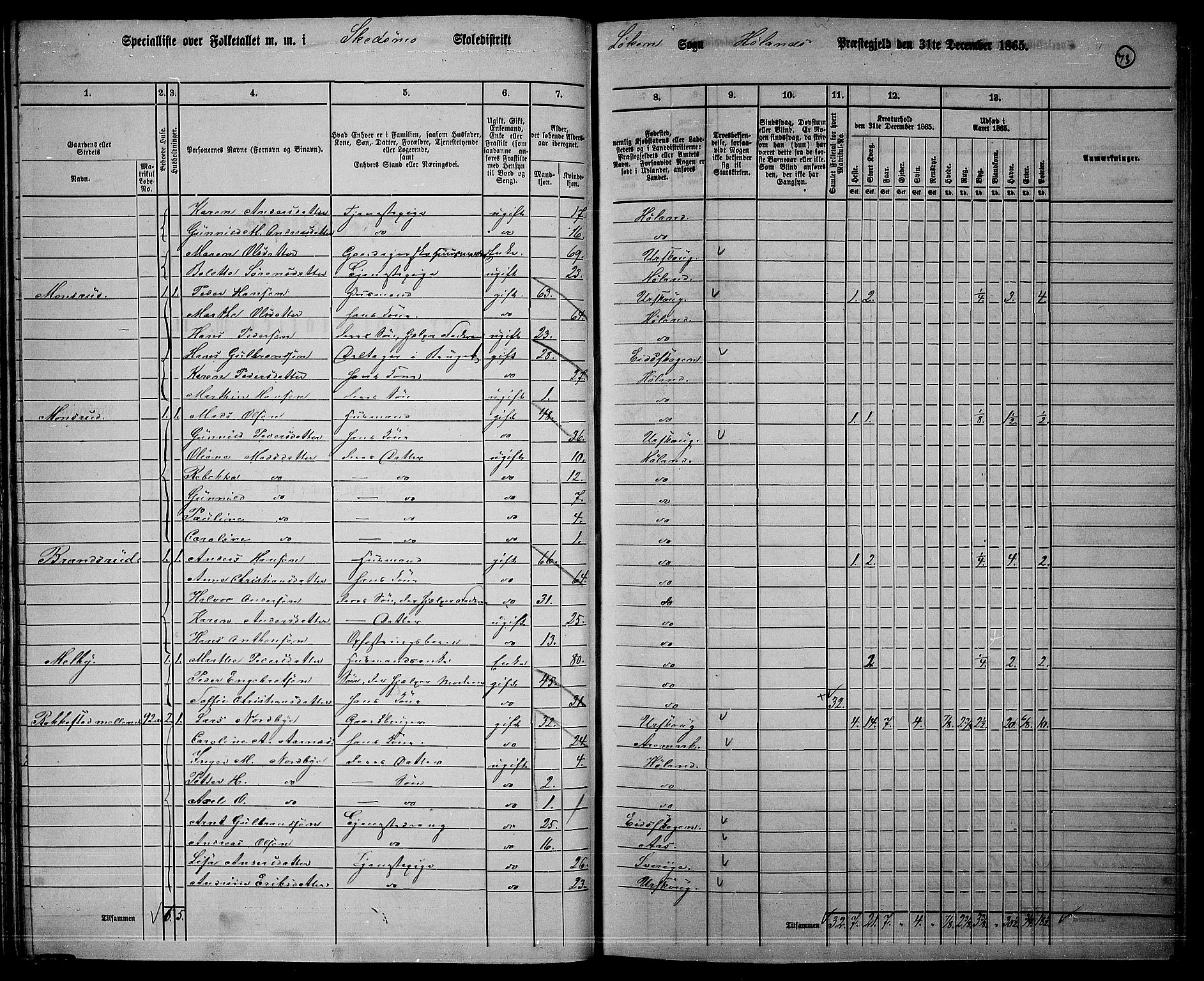 RA, 1865 census for Høland, 1865, p. 71