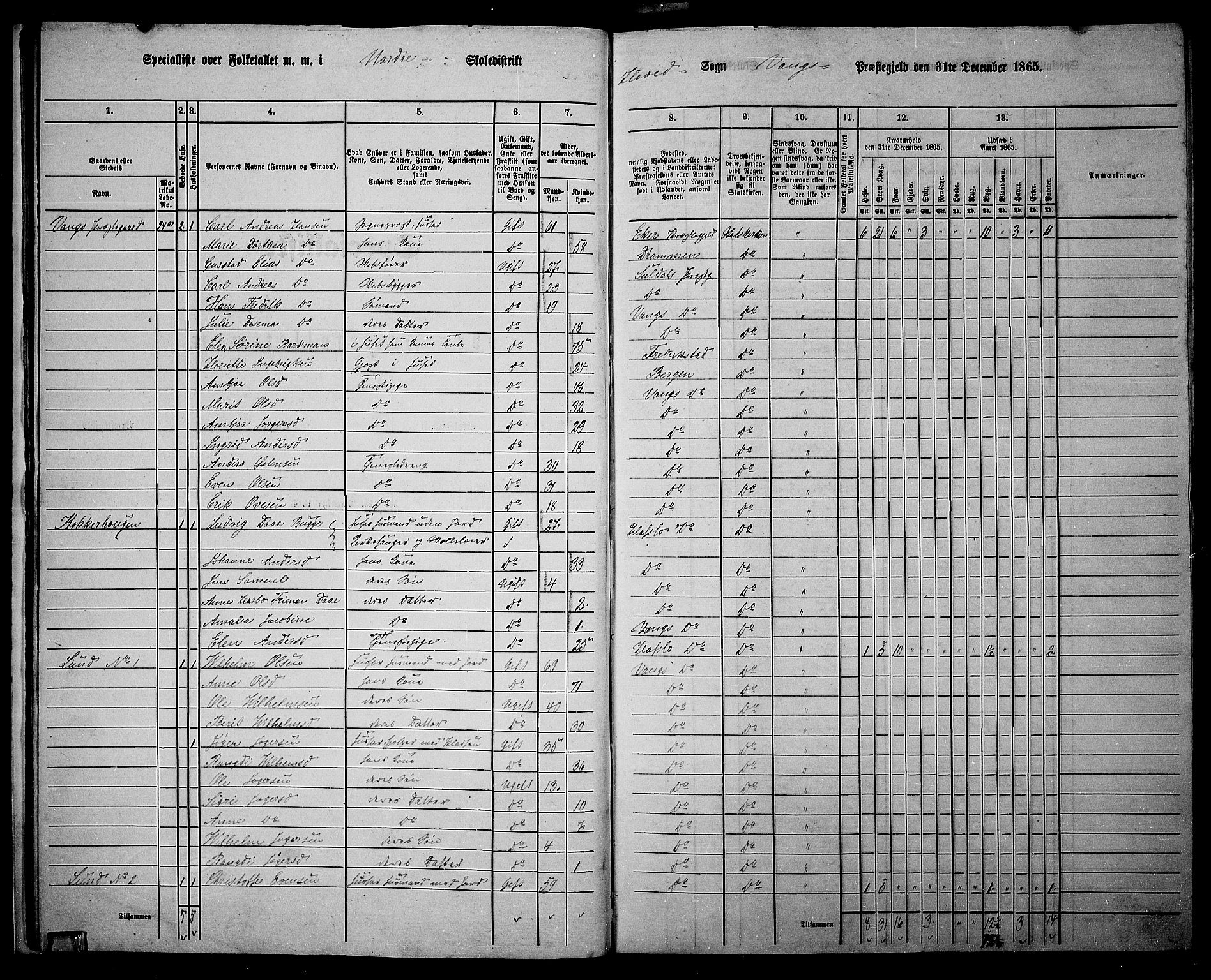 RA, 1865 census for Vang, 1865, p. 24