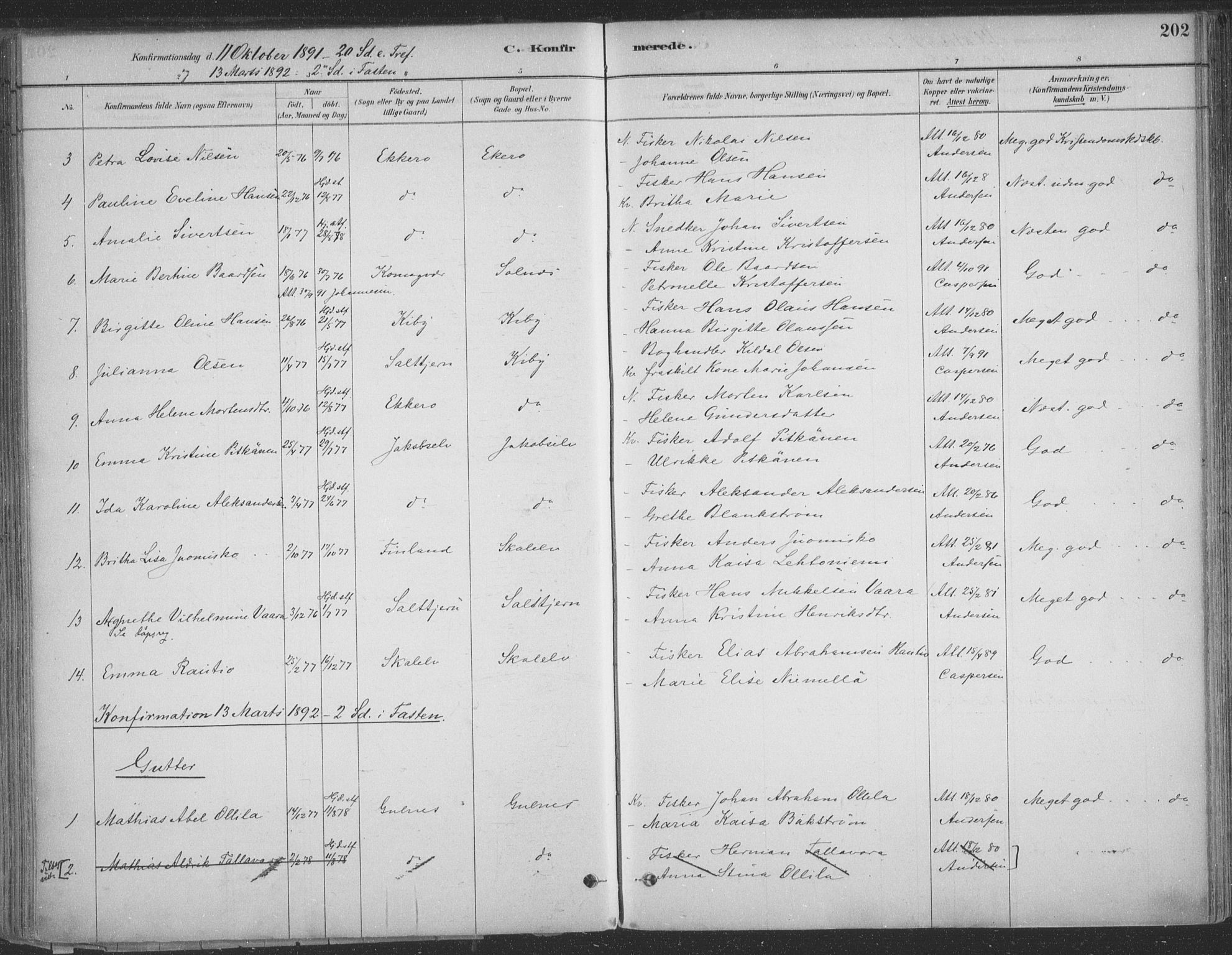 Vadsø sokneprestkontor, AV/SATØ-S-1325/H/Ha/L0009kirke: Parish register (official) no. 9, 1881-1917, p. 202