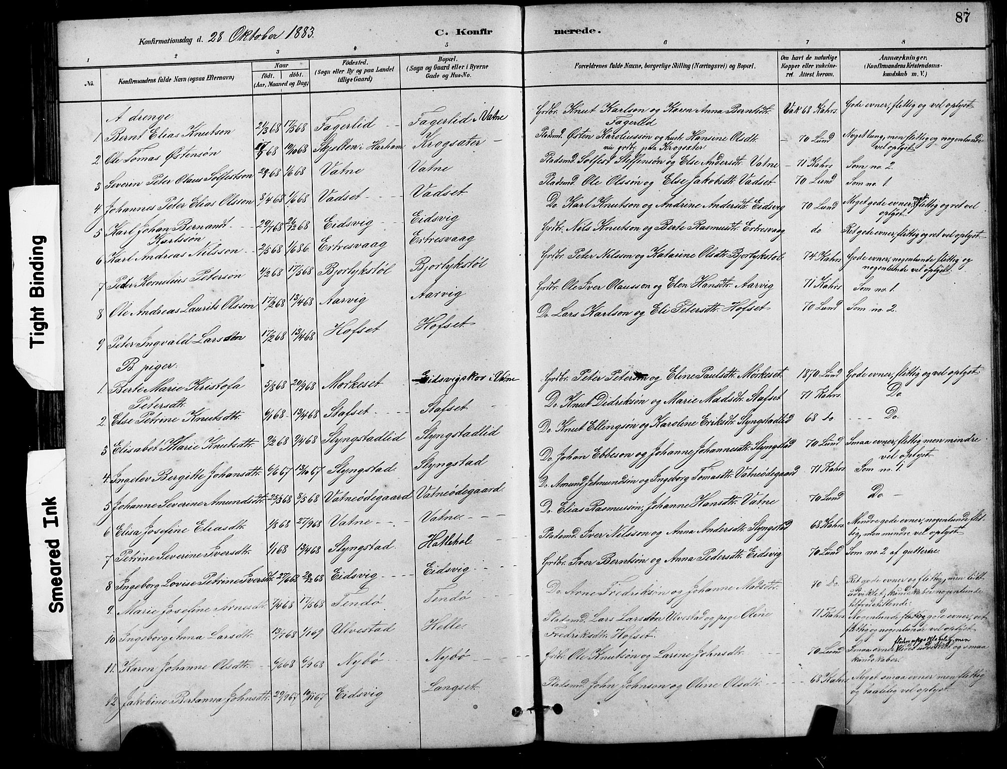 Ministerialprotokoller, klokkerbøker og fødselsregistre - Møre og Romsdal, AV/SAT-A-1454/525/L0376: Parish register (copy) no. 525C02, 1880-1902, p. 87