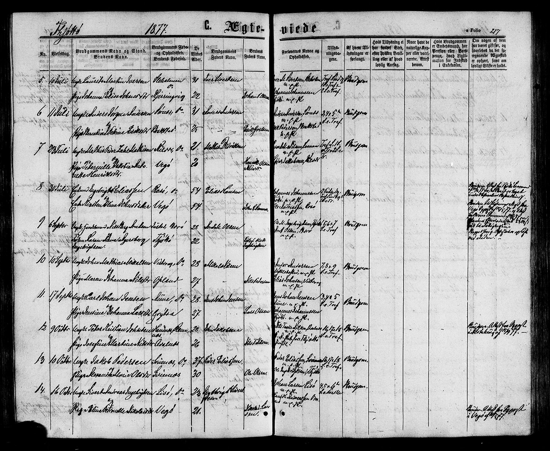 Ministerialprotokoller, klokkerbøker og fødselsregistre - Nordland, AV/SAT-A-1459/817/L0262: Parish register (official) no. 817A03/ 1, 1862-1877, p. 217
