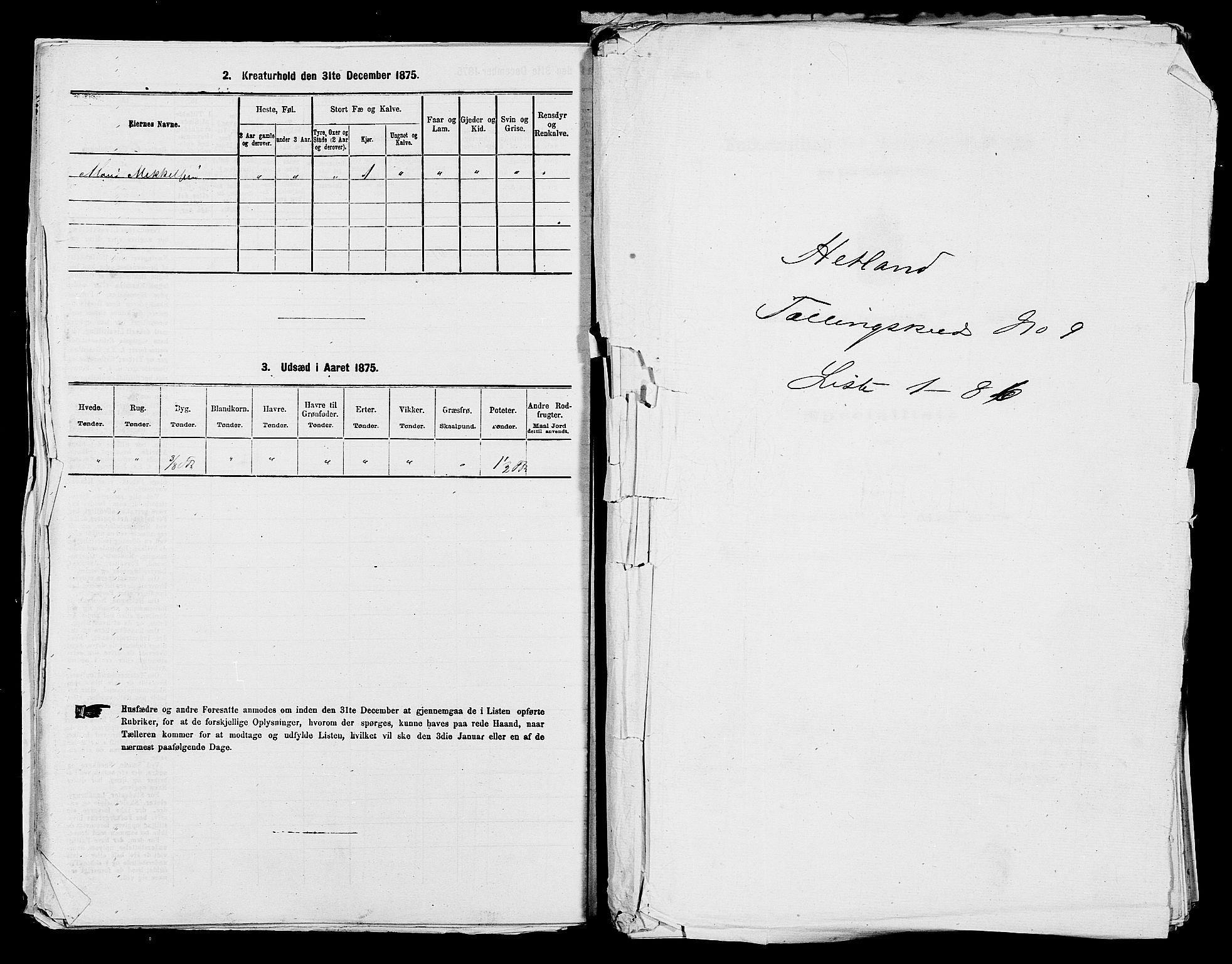 SAST, 1875 census for 1126P Hetland, 1875, p. 1796