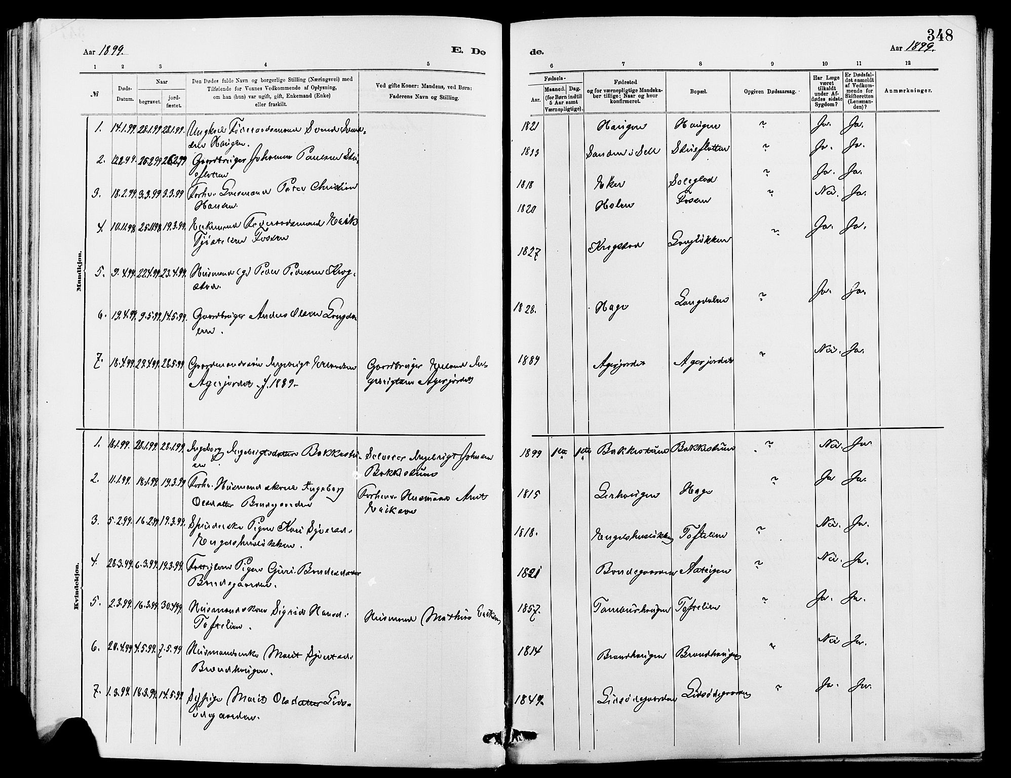 Dovre prestekontor, SAH/PREST-066/H/Ha/Hab/L0002: Parish register (copy) no. 2, 1881-1907, p. 348