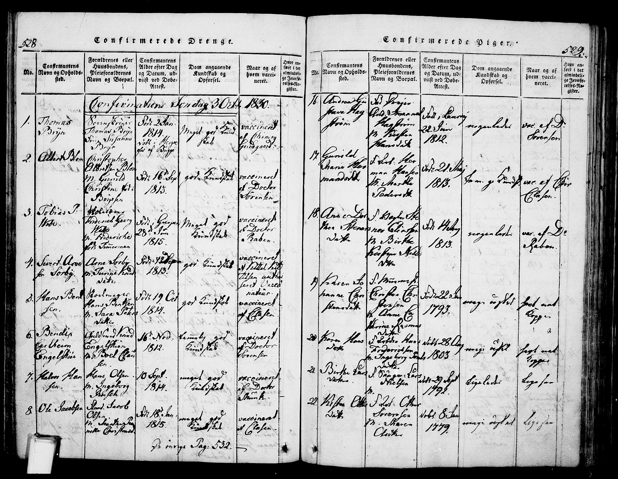 Skien kirkebøker, AV/SAKO-A-302/G/Ga/L0002: Parish register (copy) no. 2, 1814-1842, p. 528-529