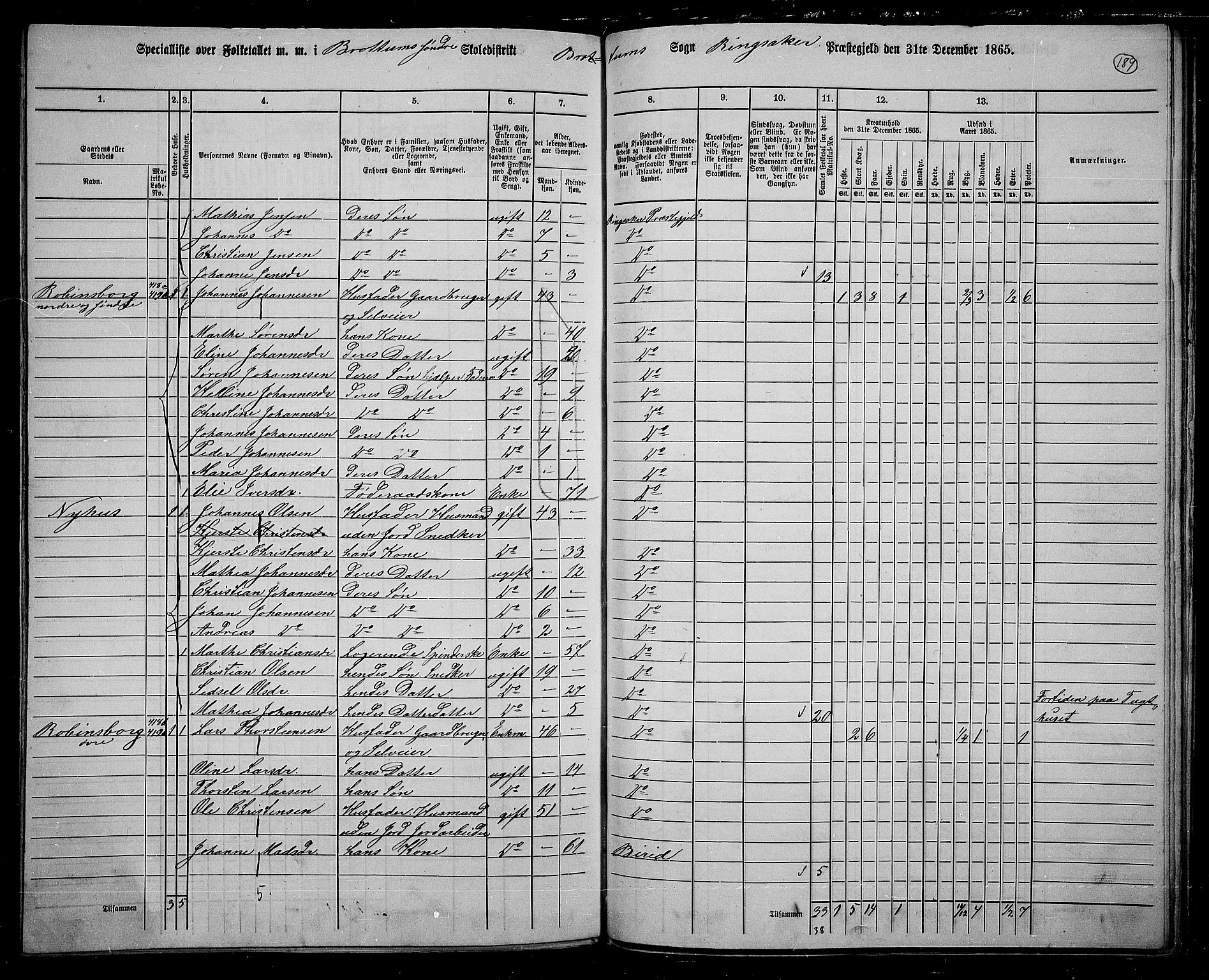 RA, 1865 census for Ringsaker, 1865, p. 431