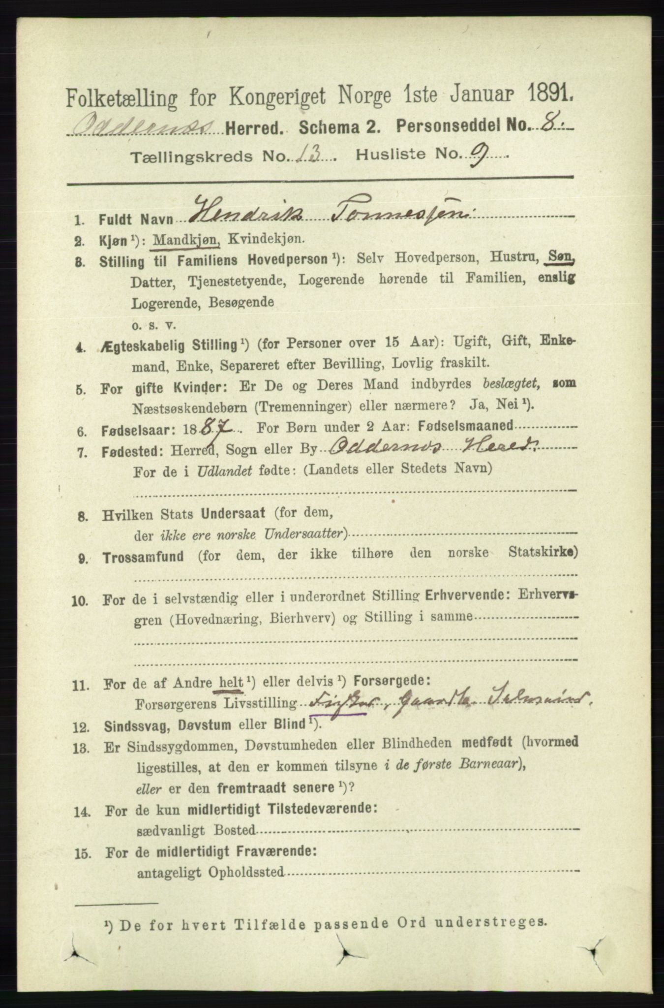 RA, 1891 census for 1012 Oddernes, 1891, p. 4694