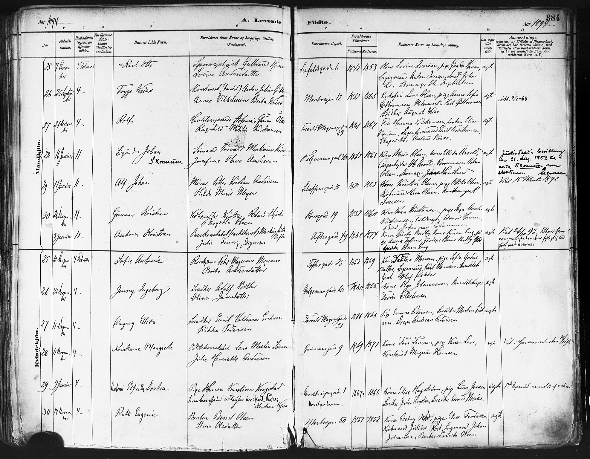 Paulus prestekontor Kirkebøker, AV/SAO-A-10871/F/Fa/L0013: Parish register (official) no. 13, 1887-1894, p. 384