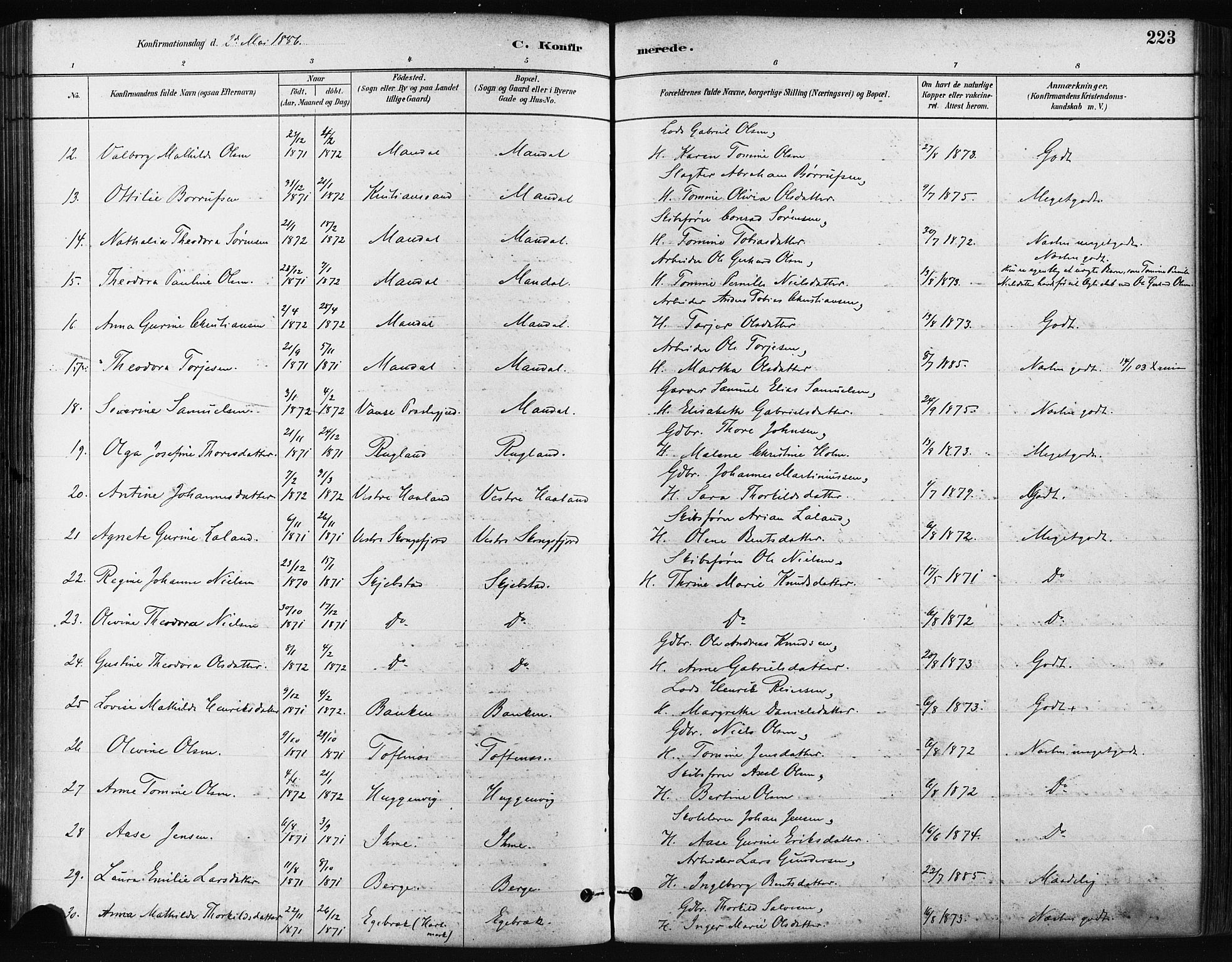 Mandal sokneprestkontor, AV/SAK-1111-0030/F/Fa/Faa/L0016: Parish register (official) no. A 16, 1880-1890, p. 223