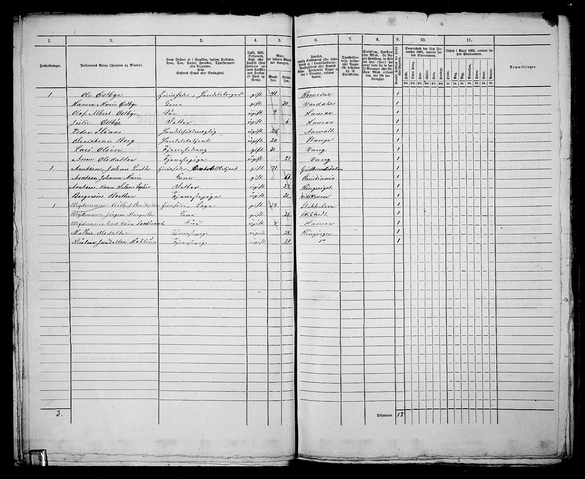 RA, 1865 census for Vang/Hamar, 1865, p. 32