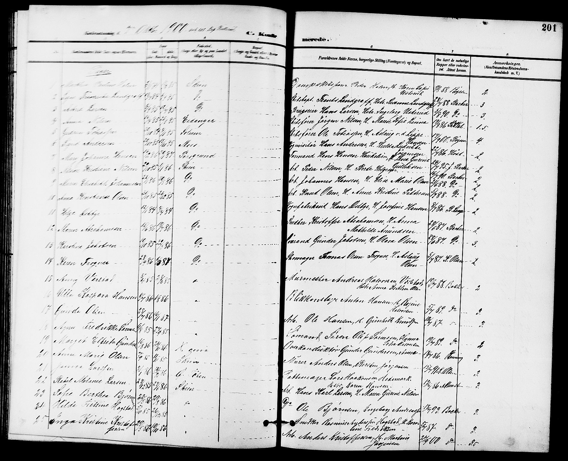 Skien kirkebøker, SAKO/A-302/G/Ga/L0008: Parish register (copy) no. 8, 1900-1910, p. 201