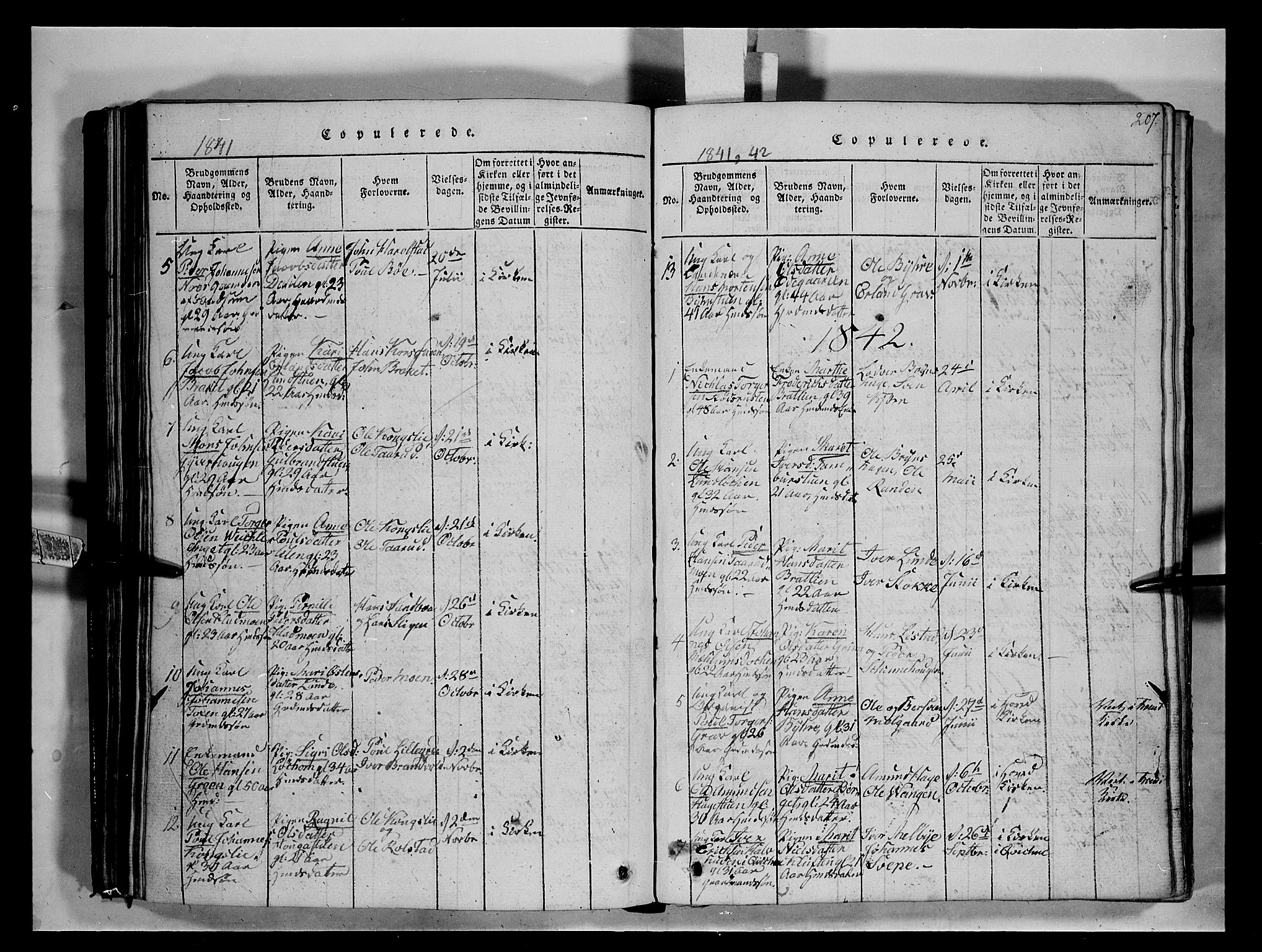 Fron prestekontor, SAH/PREST-078/H/Ha/Hab/L0004: Parish register (copy) no. 4, 1816-1850, p. 207