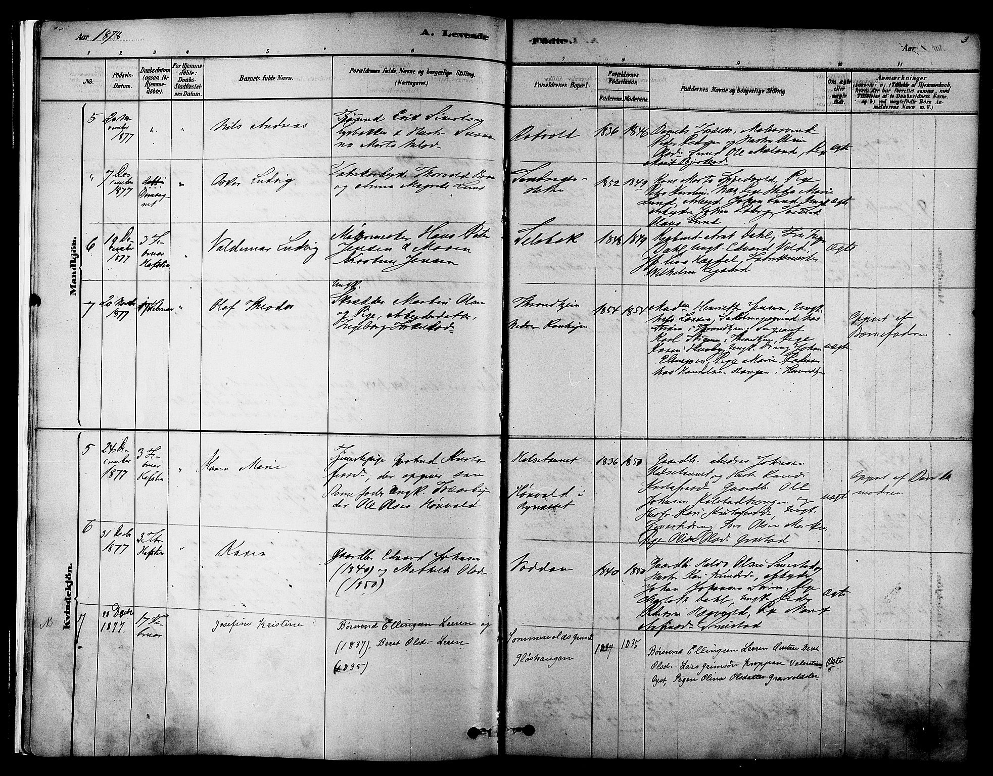 Ministerialprotokoller, klokkerbøker og fødselsregistre - Sør-Trøndelag, SAT/A-1456/606/L0294: Parish register (official) no. 606A09, 1878-1886, p. 3