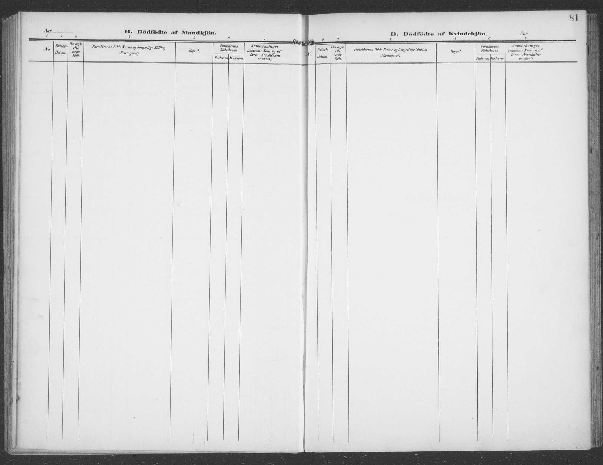 Talvik sokneprestkontor, SATØ/S-1337/H/Ha/L0017kirke: Parish register (official) no. 17, 1906-1915, p. 81