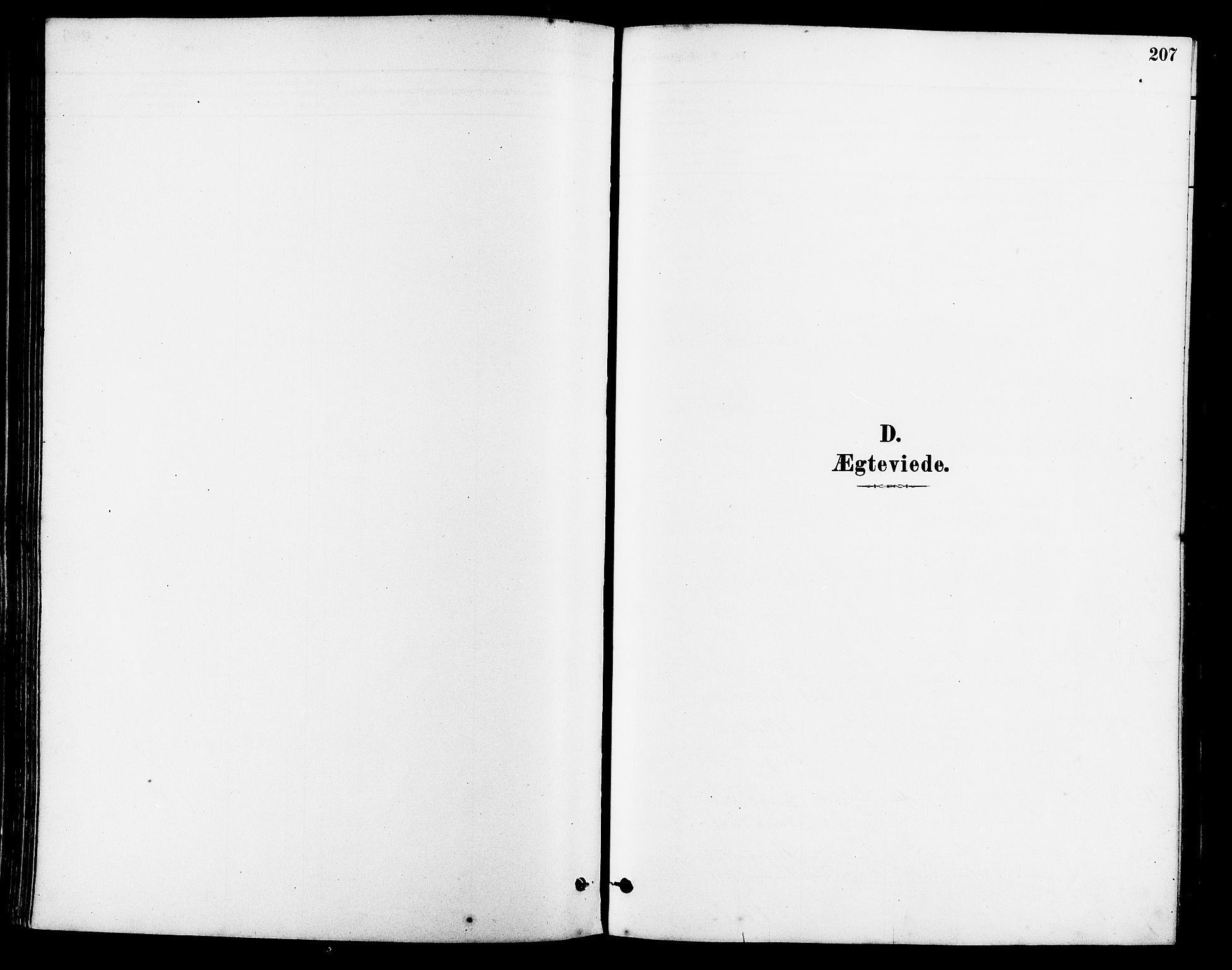 Lye sokneprestkontor, SAST/A-101794/001/30BA/L0009: Parish register (official) no. A 8, 1881-1892, p. 207
