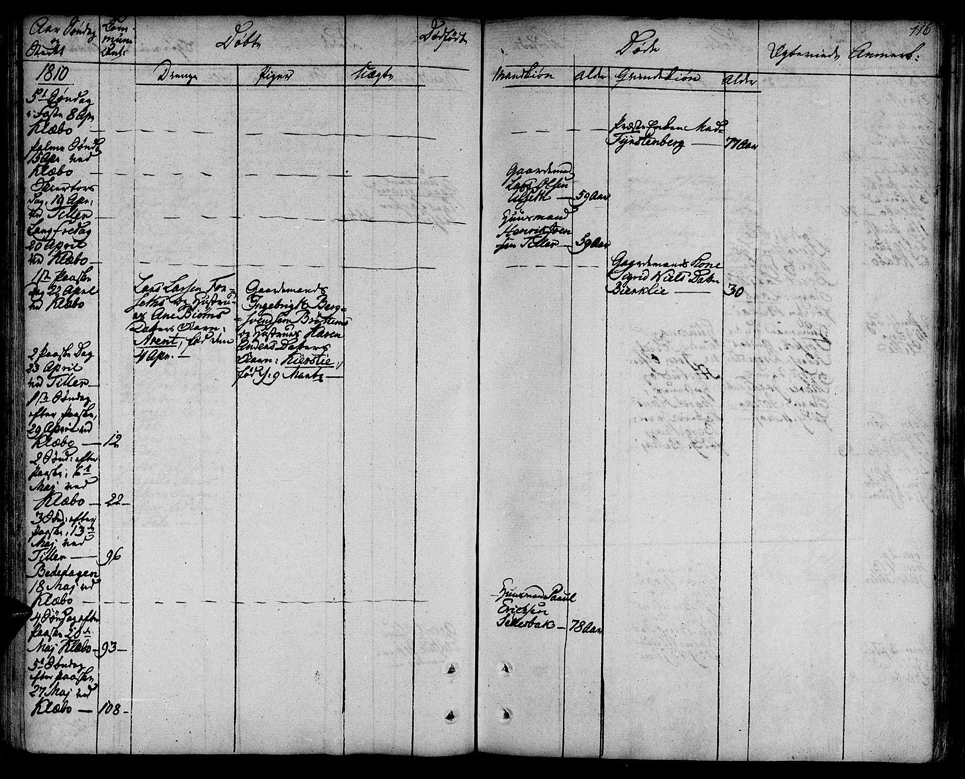 Ministerialprotokoller, klokkerbøker og fødselsregistre - Sør-Trøndelag, SAT/A-1456/618/L0438: Parish register (official) no. 618A03, 1783-1815, p. 116
