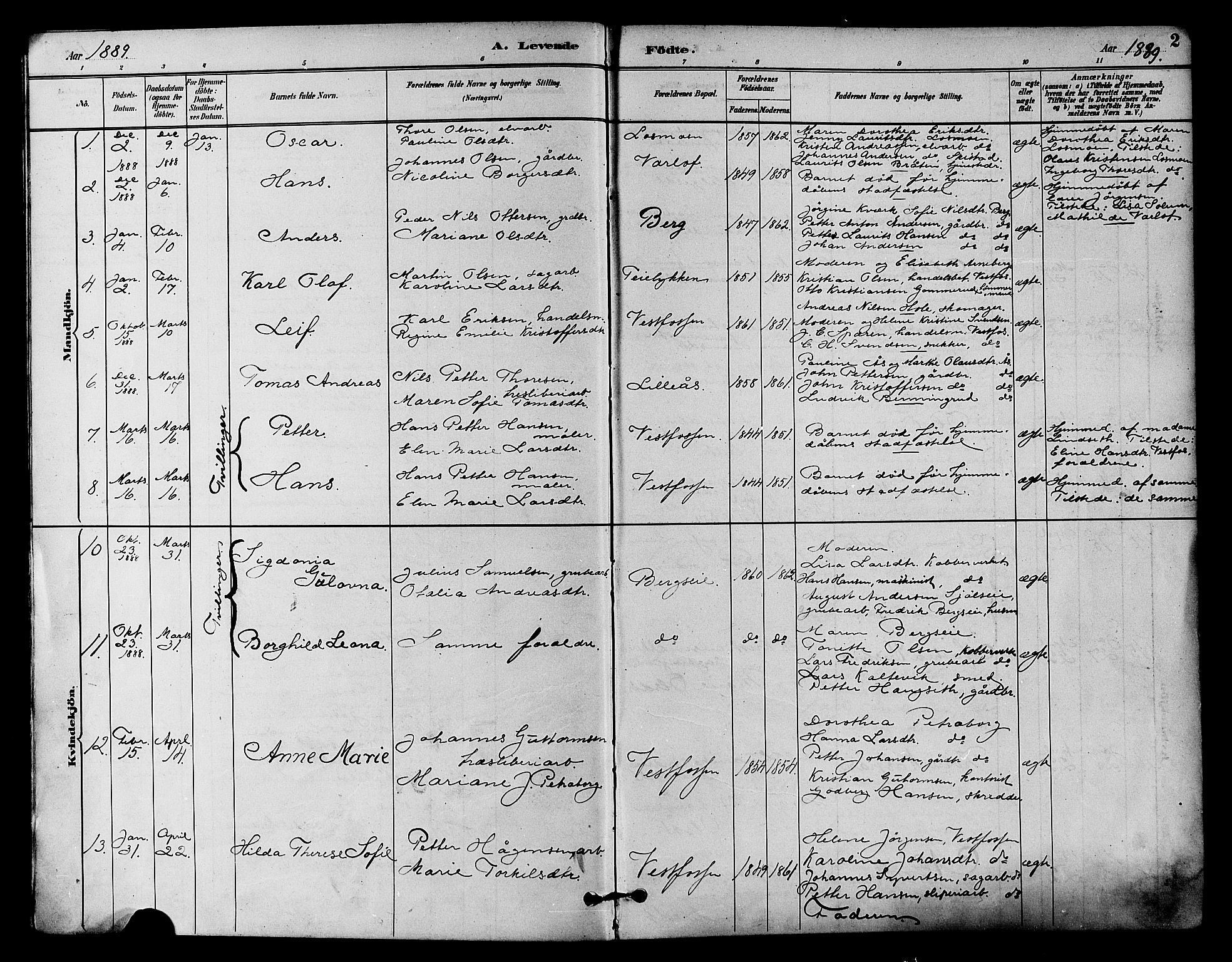 Eiker kirkebøker, SAKO/A-4/F/Fb/L0002: Parish register (official) no. II 2, 1889-1896, p. 2