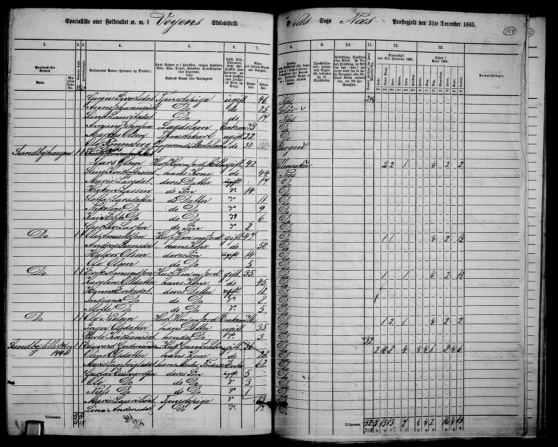 RA, 1865 census for Nes, 1865, p. 144