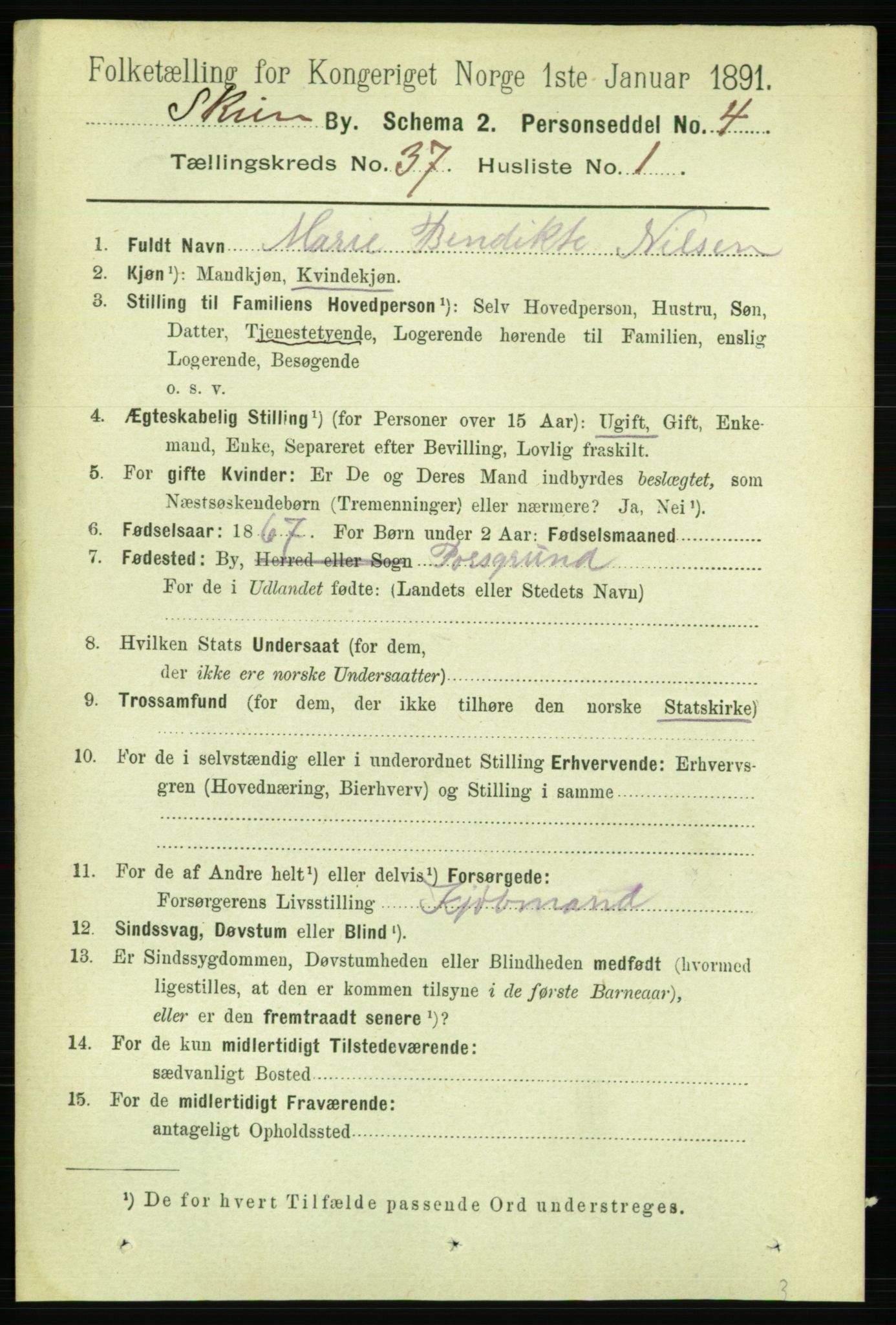 RA, 1891 census for 0806 Skien, 1891, p. 8069