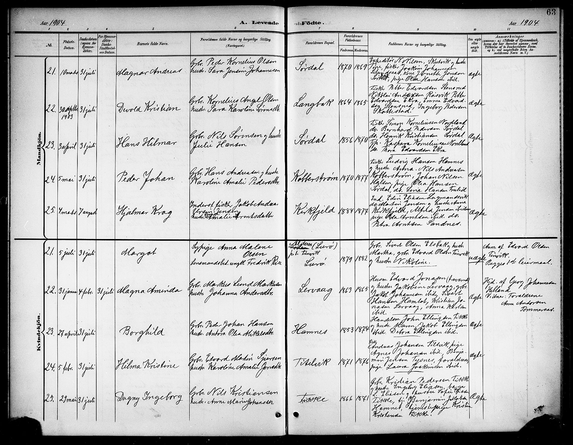 Ministerialprotokoller, klokkerbøker og fødselsregistre - Nordland, AV/SAT-A-1459/859/L0860: Parish register (copy) no. 859C06, 1899-1909, p. 63